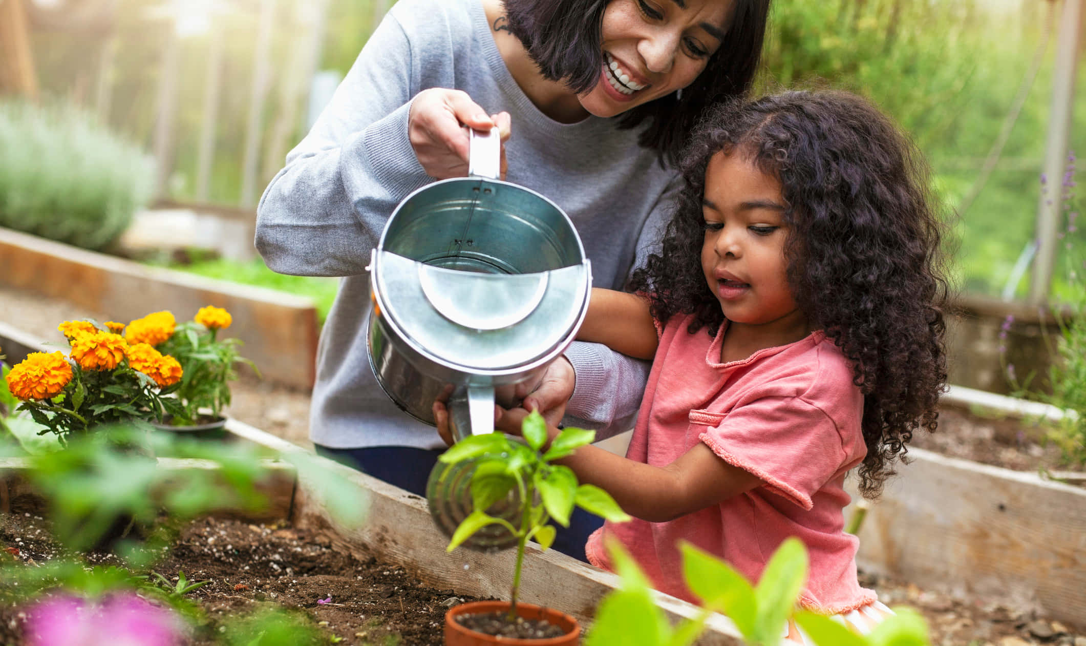 Gardening 桌布 壁紙 — 一位微笑的女士和一個年輕女孩在陽光明媚的花園花壇中一起輕輕地給盆栽植物澆水。