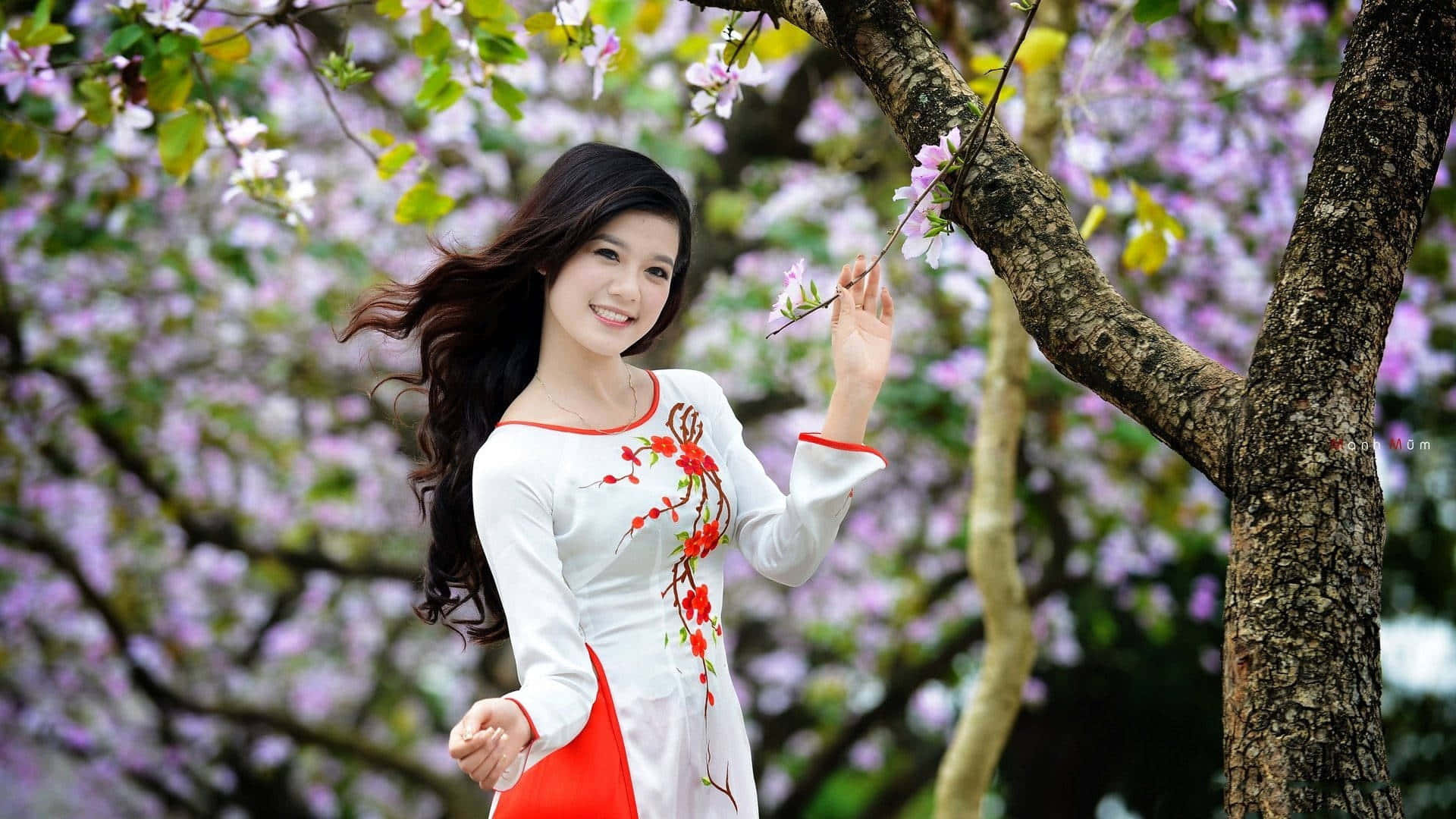 少女風 桌布 壁紙 — 一位微笑的女子穿著白色和紅色的傳統連衣裙，輕輕觸摸春天花園中樹上的粉紅色花朵。