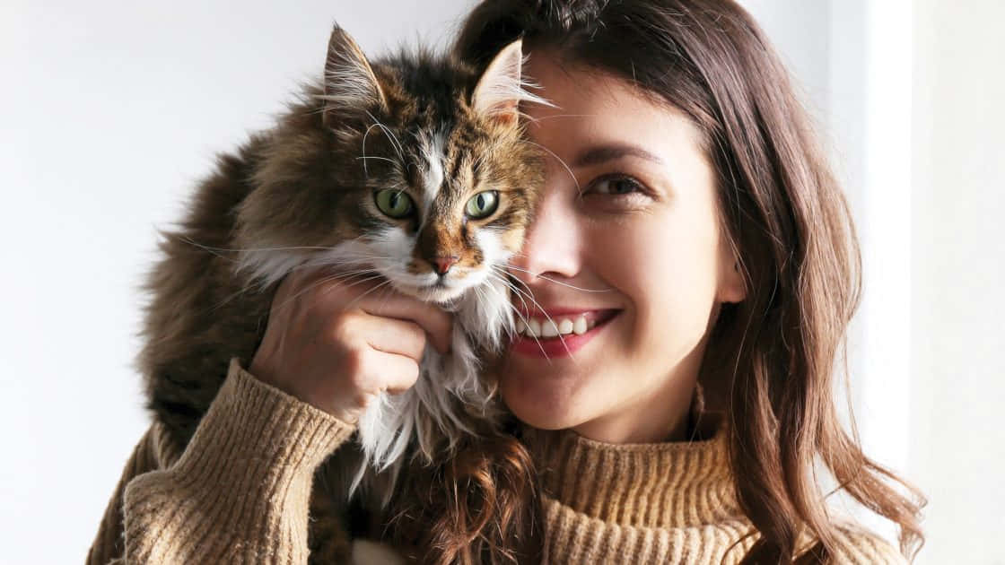寵物動圖 桌布 壁紙 — 一位微笑的女子身穿米色毛衣，在明亮的白色背景前將一隻毛茸茸的虎斑貓抱近臉龐。