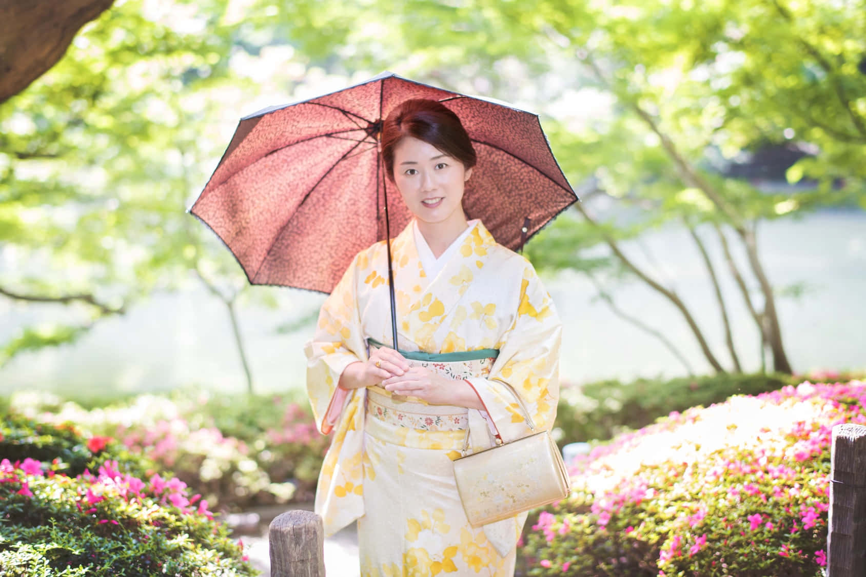 Kimono 桌布 壁紙 — 一位微笑的女子身穿黃色花卉和服，在盛開的粉紅色杜鵑花和陽光照射的綠樹中撐著紅色雨傘。