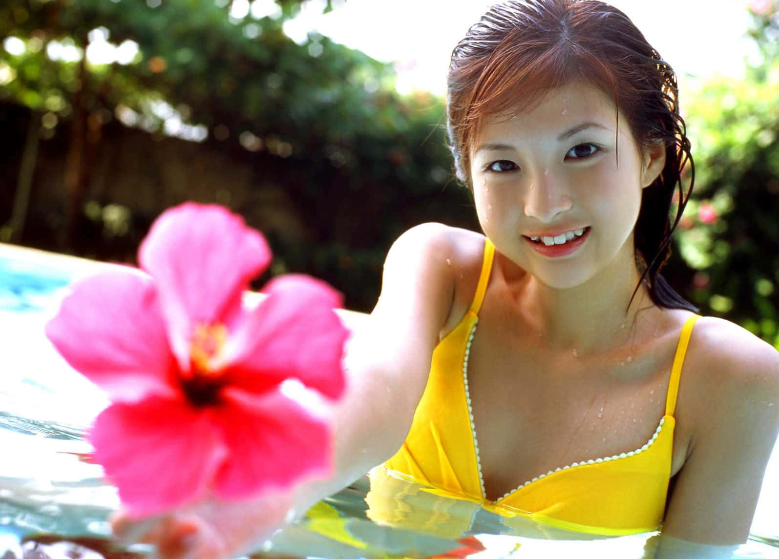 Woman 桌布 壁紙 — 一位微笑的女性穿著黃色泳衣，部分浸沒在陽光普照的泳池中，手持一朵鮮豔的粉紅色木槿花。