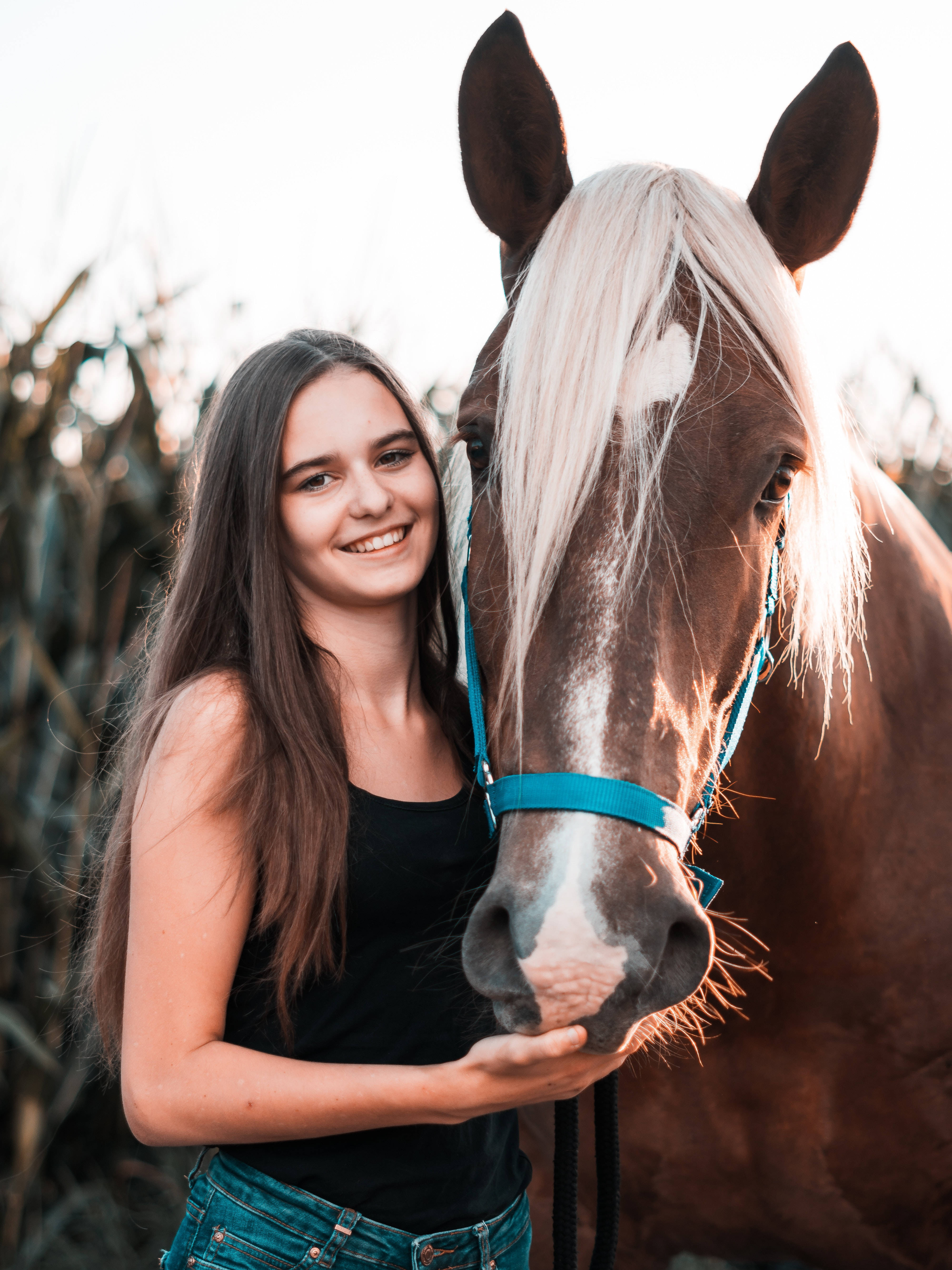 Horse iPhone 桌布 壁紙 — 一位微笑的年輕女性在金色時刻，以高大的玉米稈為背景，輕輕撫摸一匹有白色鬃毛的棕色馬。