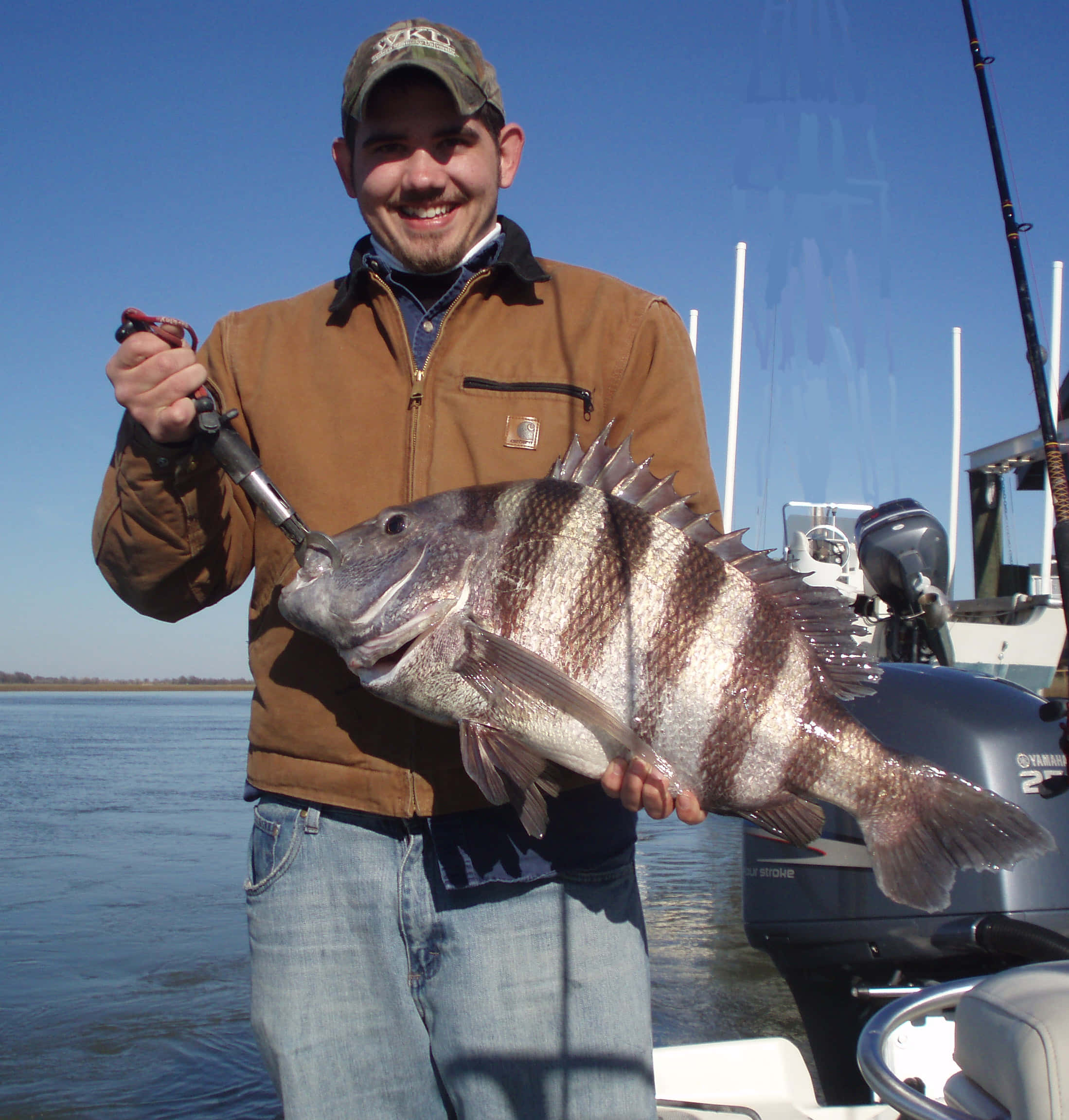 Sheepshead Fish 桌布 壁紙 — 一位微笑的漁夫在晴朗的藍天下，自豪地在船上拿著一條大條紋魚。