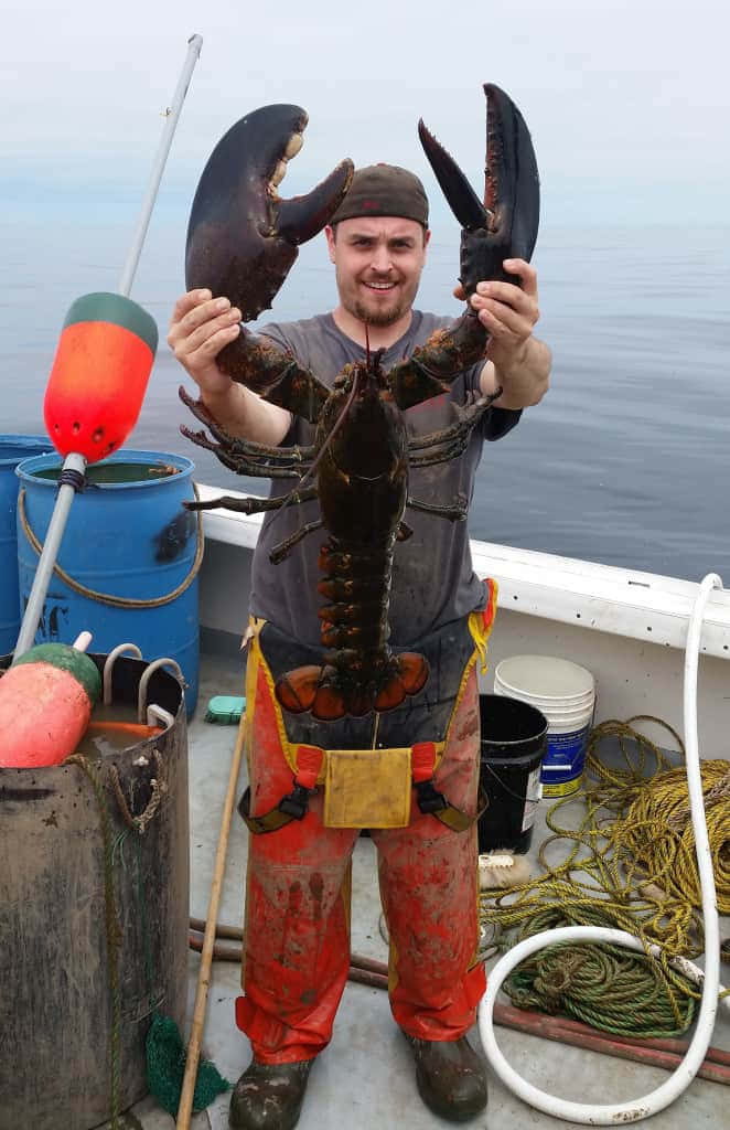 Lobster 桌布 壁紙 — 一位微笑的漁夫在船上自豪地舉著一隻巨大的深色龍蝦，背景是海洋和釣魚裝備。