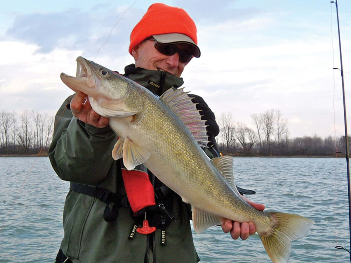 Walleye 桌布 壁紙 — 一位微笑的漁夫戴著橙色無邊帽，在平靜的湖景和光禿樹木背景下自豪地舉著一條大梭鱸。
