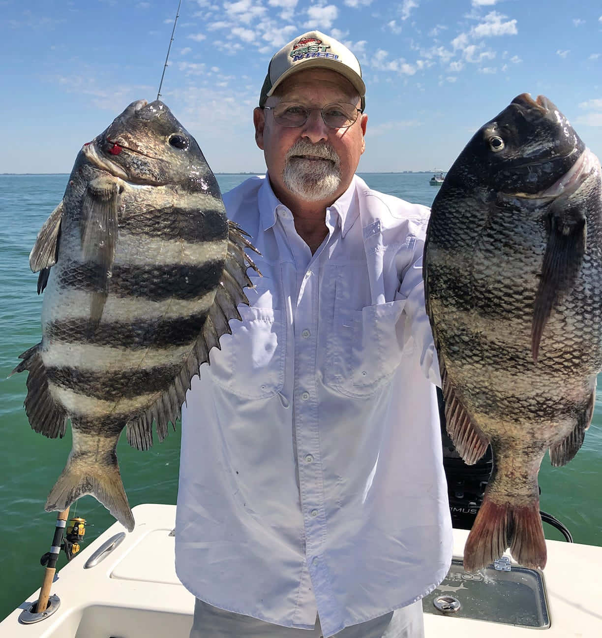 Sheepshead Fish 桌布 壁紙 — 一位微笑的漁夫自豪地展示他捕獲的兩條大條紋魚，站在船上，清澈的藍色海水，陽光明媚的天空下。