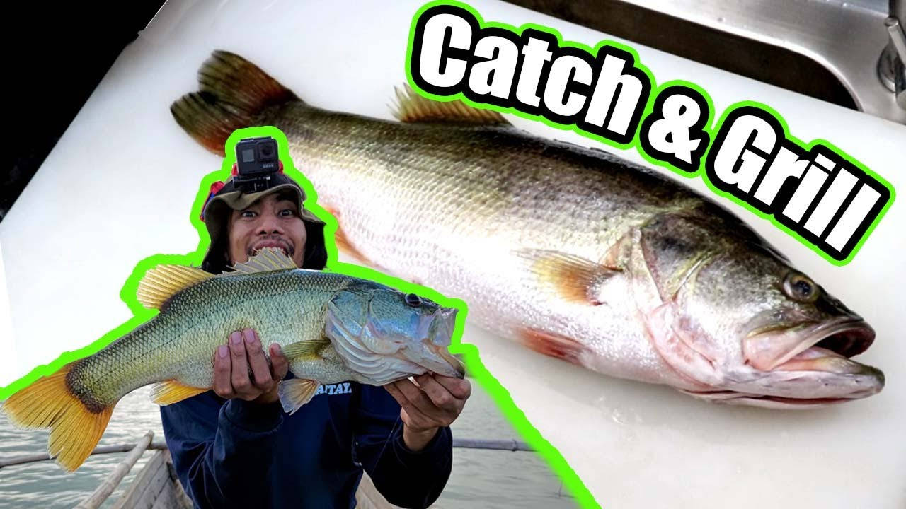 Largemouth Bass 桌布 壁紙 — 一位微笑的漁夫自豪地抱著一條大鱸魚，旁邊還有一條更大的魚，白色背景上有粗體「Catch & Grill」文字。