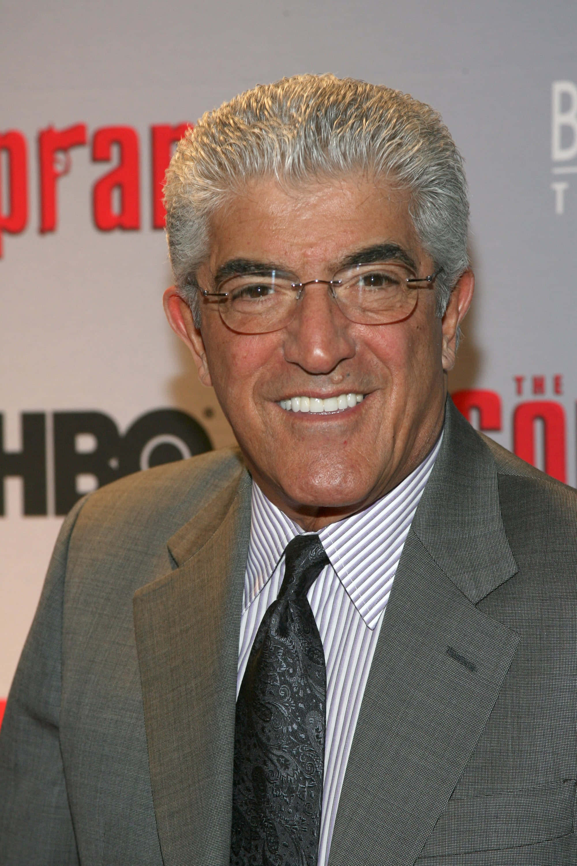 Frank Vincent 桌布 壁紙 — 一位微笑的白髮男士戴著眼鏡，身穿灰色西裝和圖案領帶，出席紅地毯活動。