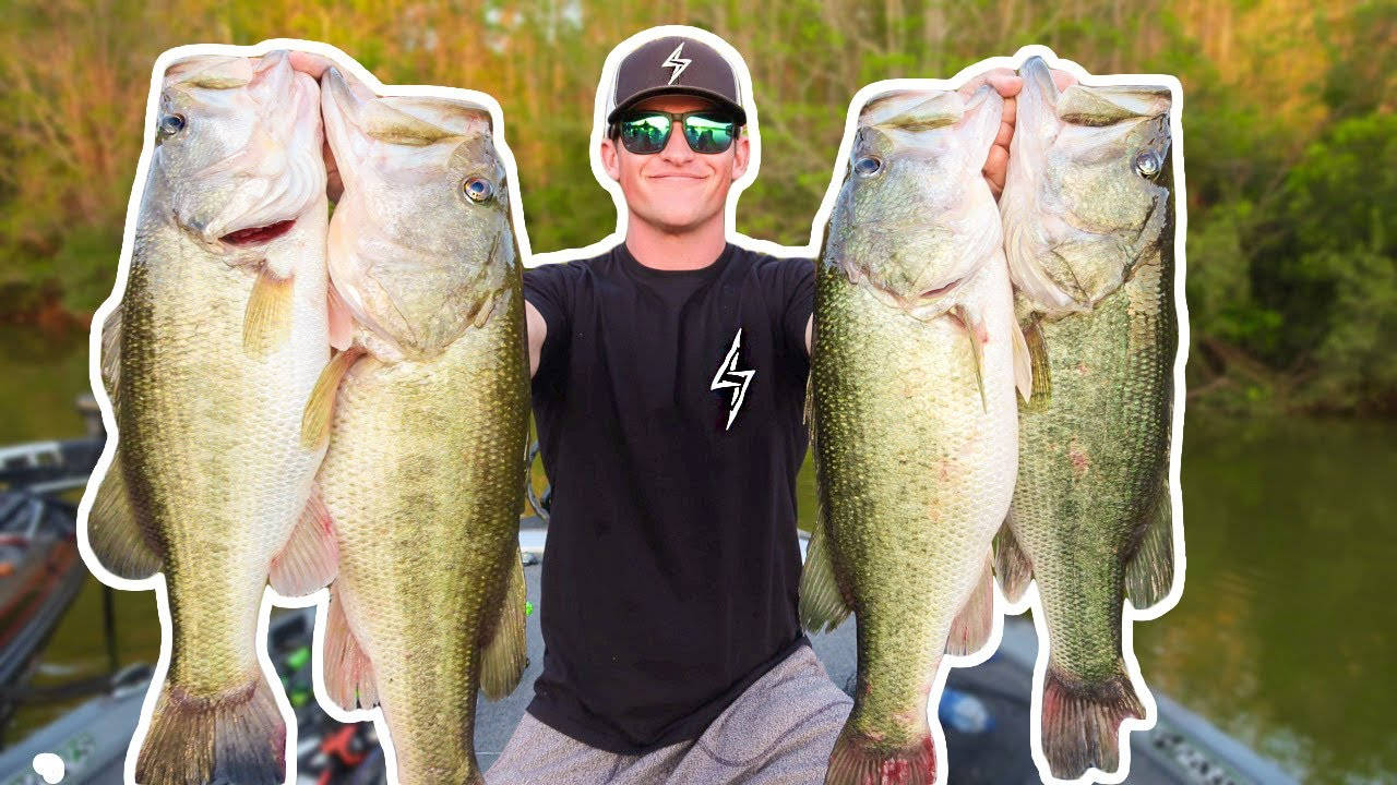 Largemouth Bass 桌布 壁紙 — 一位微笑的釣魚人自豪地展示他在平靜的河上乘船釣到的四條巨大鱸魚。