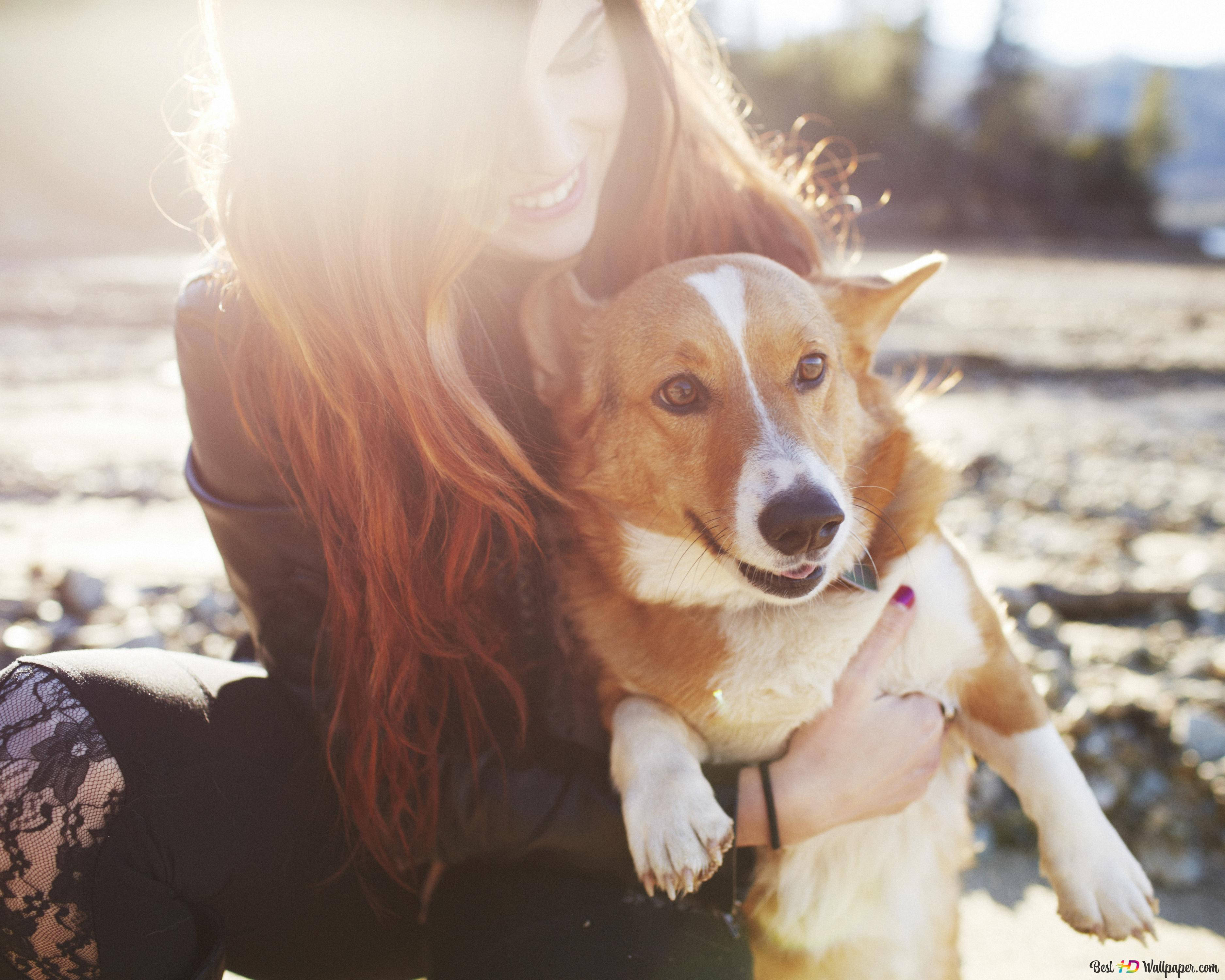 Dog And Girl 桌布 壁紙 — 一位微笑的長紅髮女性在溫暖的金色陽光中懷抱一隻快樂的柯基犬。