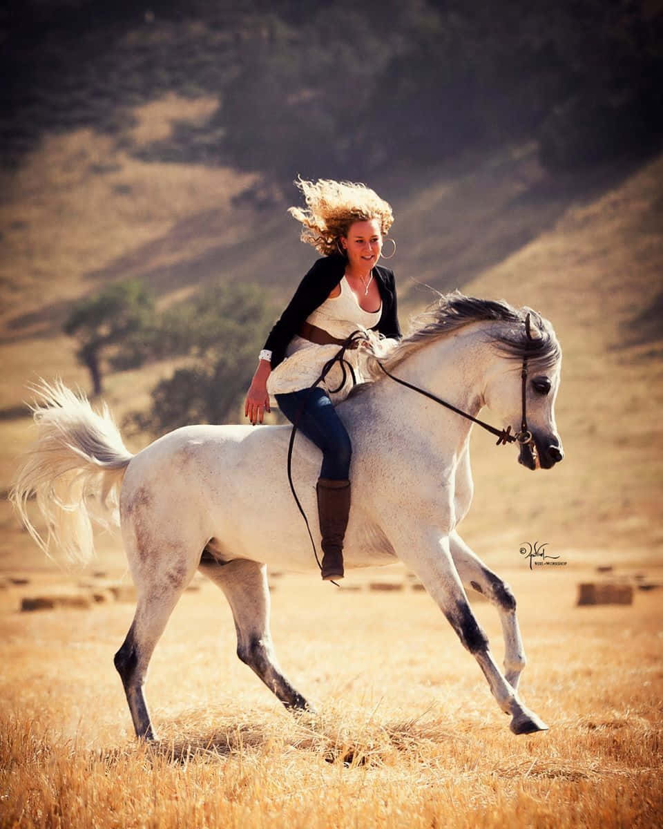Arabian Horse 桌布 壁紙 — 一位快樂的捲髮女士騎著白馬奔馳在金色草地上，沐浴在溫暖陽光下。