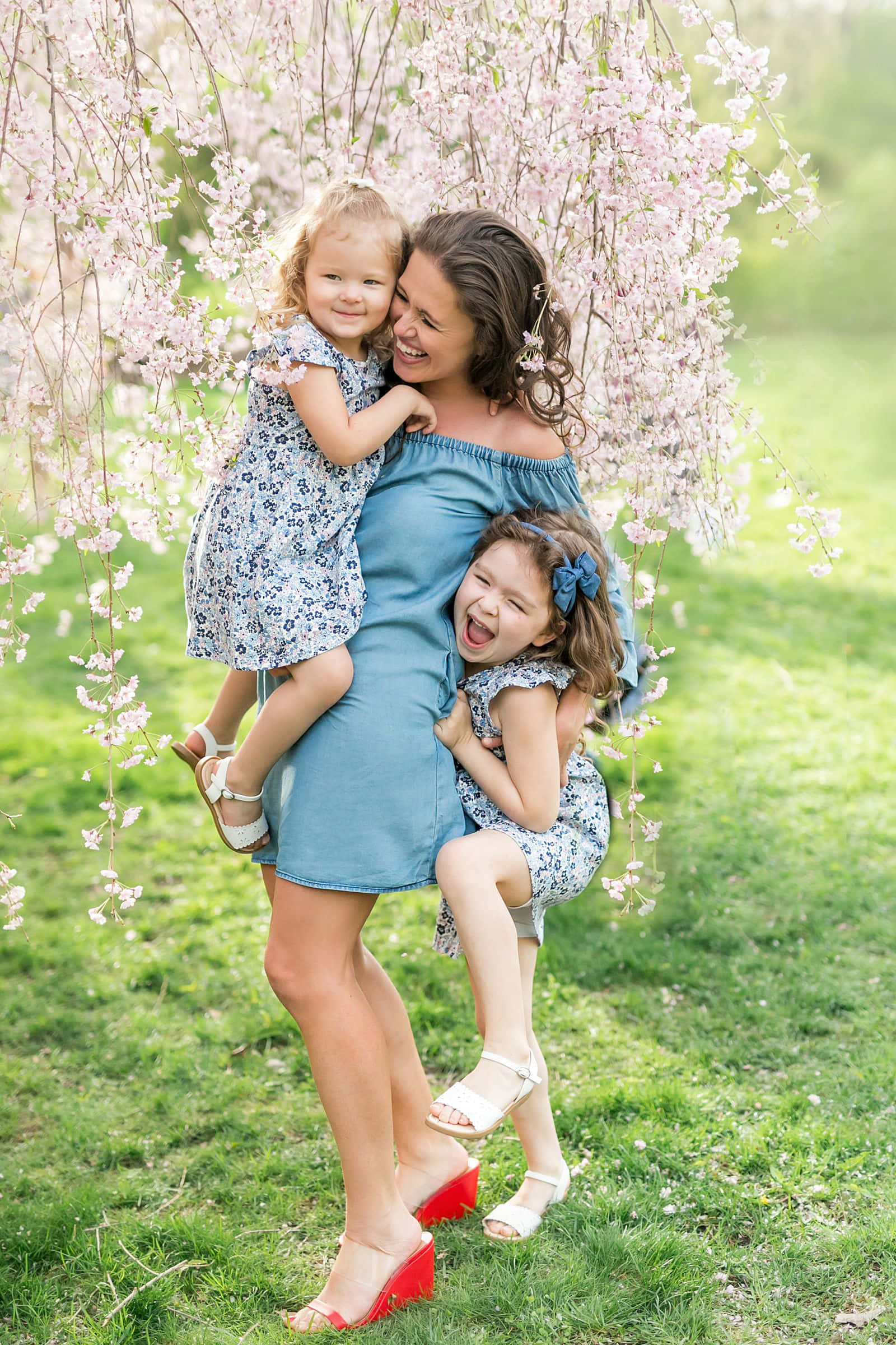 Spring Family 桌布 壁紙 — 一位快樂的母親在陽光明媚的日子裡，與兩個女兒依偎在盛開的粉紅色櫻花樹下大笑。