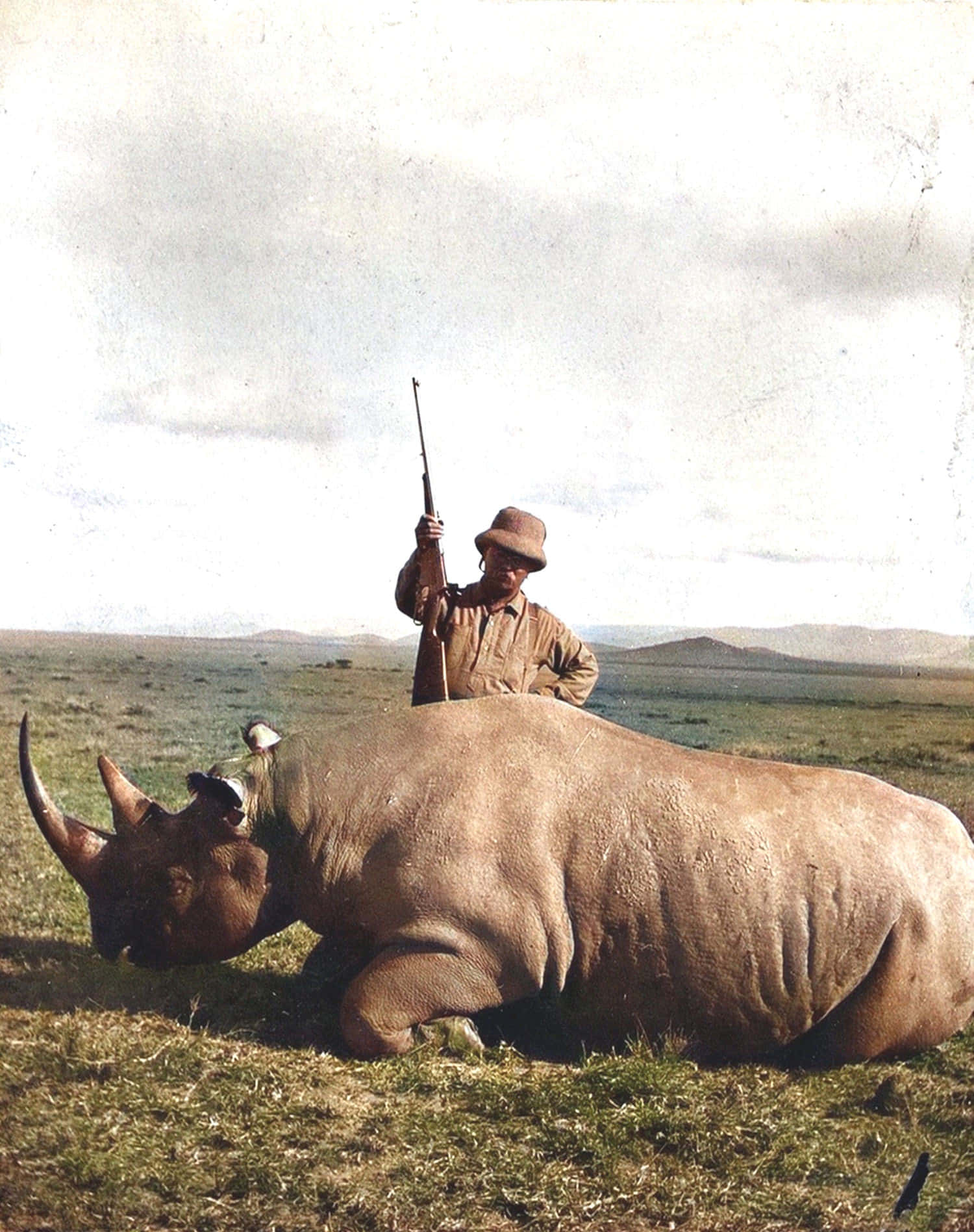 rhino 桌布 壁紙 — 一位戴帽子的獵人自豪地站在廣闊草原上一具大型犀牛屍體旁，天空多雲。