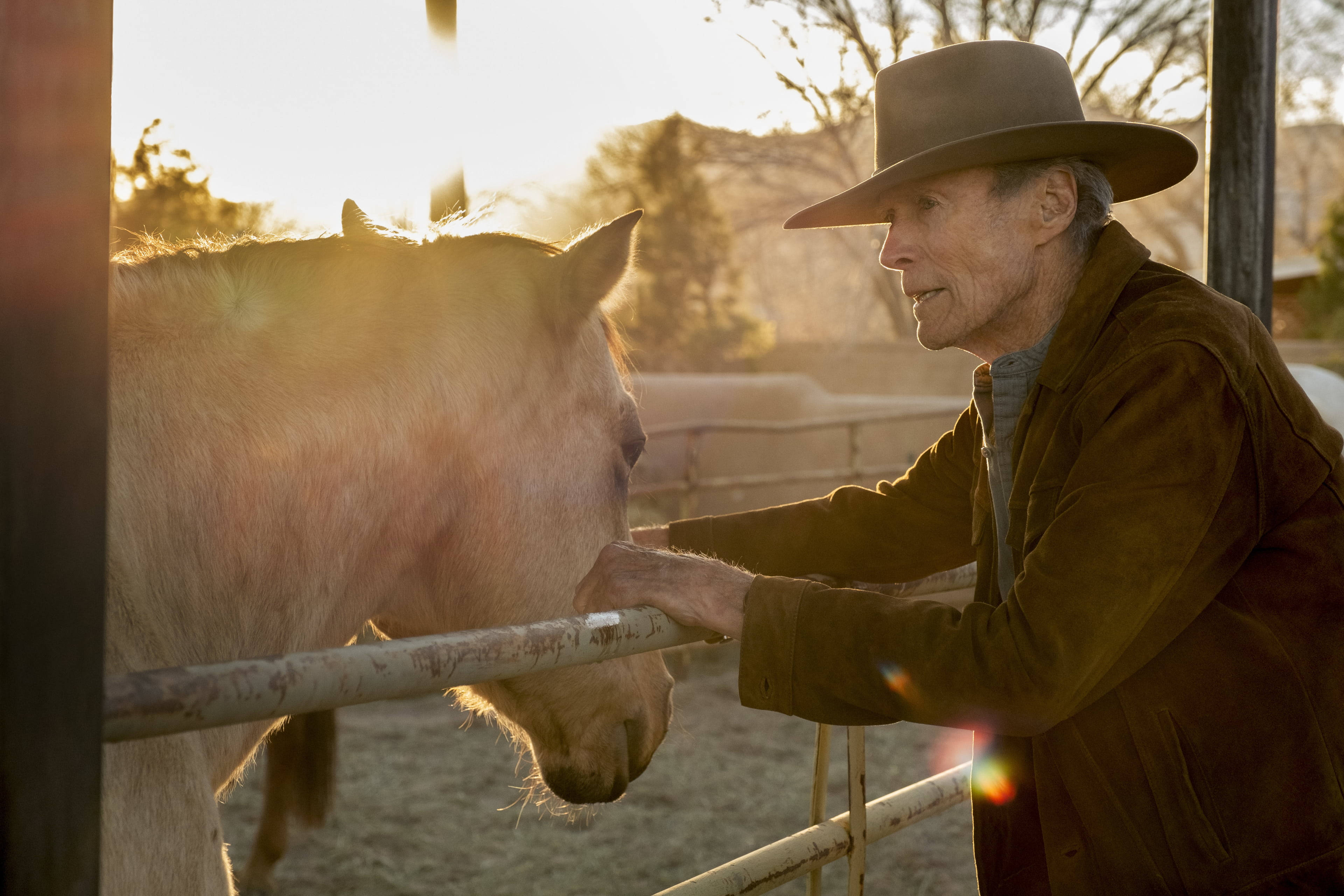 Cowboy 桌布 壁紙 — 一位戴牛仔帽的長者，透過金屬圍欄輕撫一匹淺色馬匹，金色陽光灑滿整個場景。