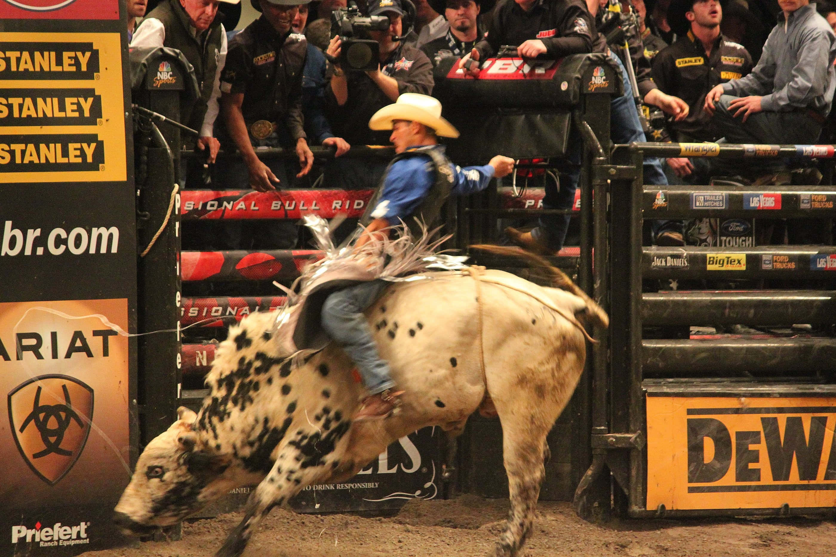 Bull Rider 桌布 壁紙 — 一位戴白帽的牛仔在牛仔競技場騎著一頭斑點公牛，觀眾在圍欄後觀看。
