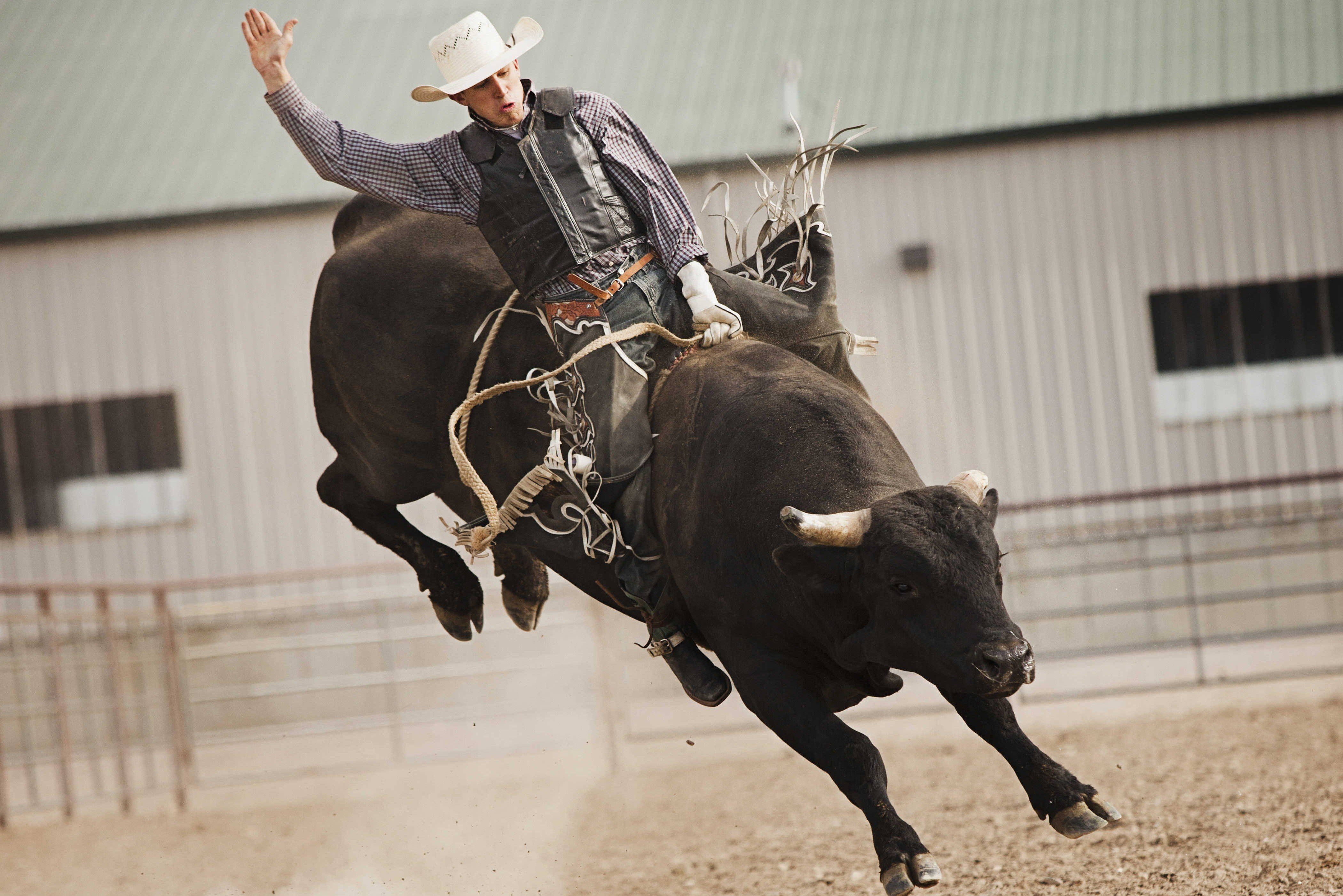 Bull Riding 桌布 壁紙 — 一位戴白帽的牛仔緊抓著一頭跳躍的黑公牛，牠在牛仔競技場內塵土飛揚的空氣中騰空而起。