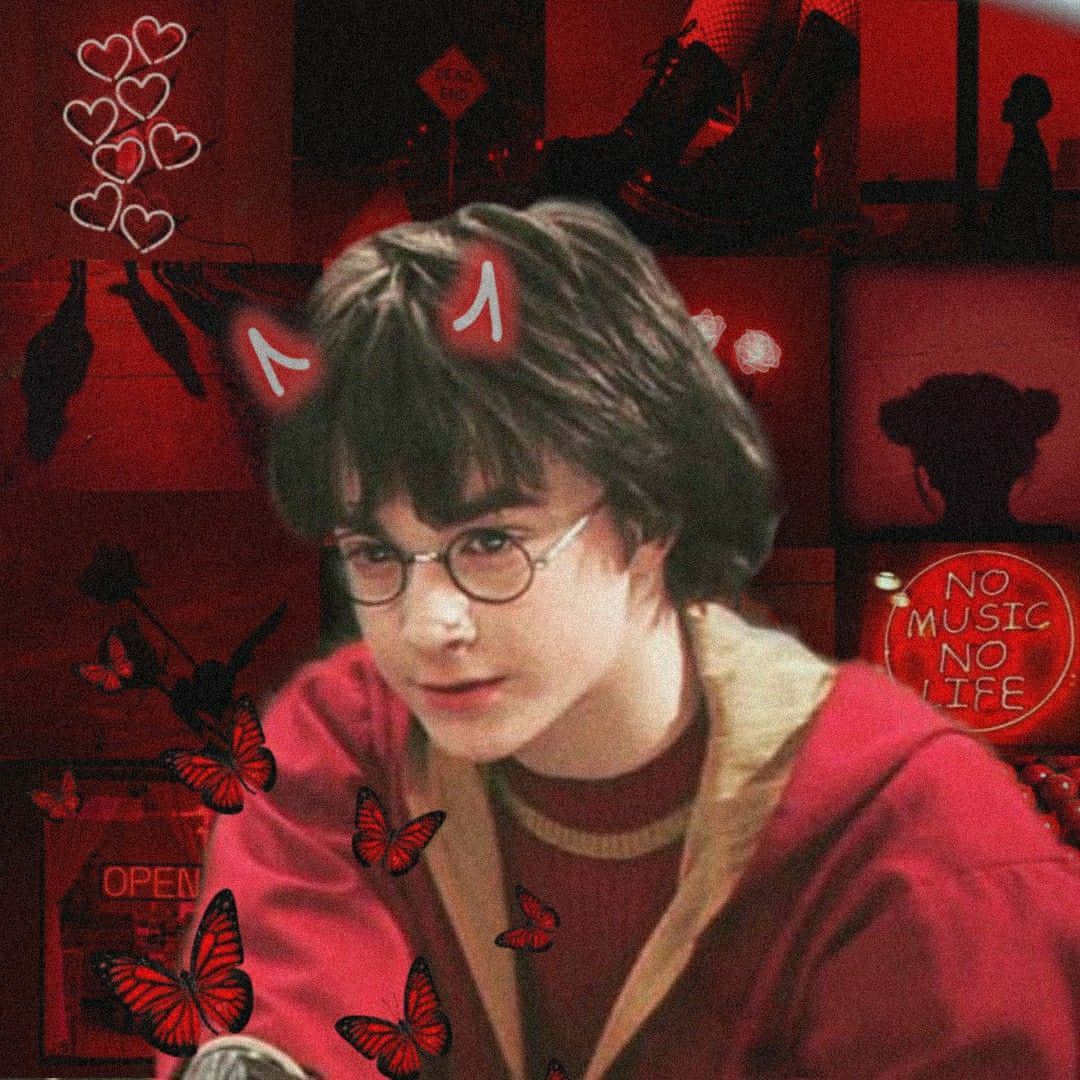 Harry Potter Profile 桌布 壁紙 — 一位戴眼鏡、身穿紅色連帽衫的年輕男子，被紅色蝴蝶和心形圖案環繞，背景是紅色調場景的拼貼畫。