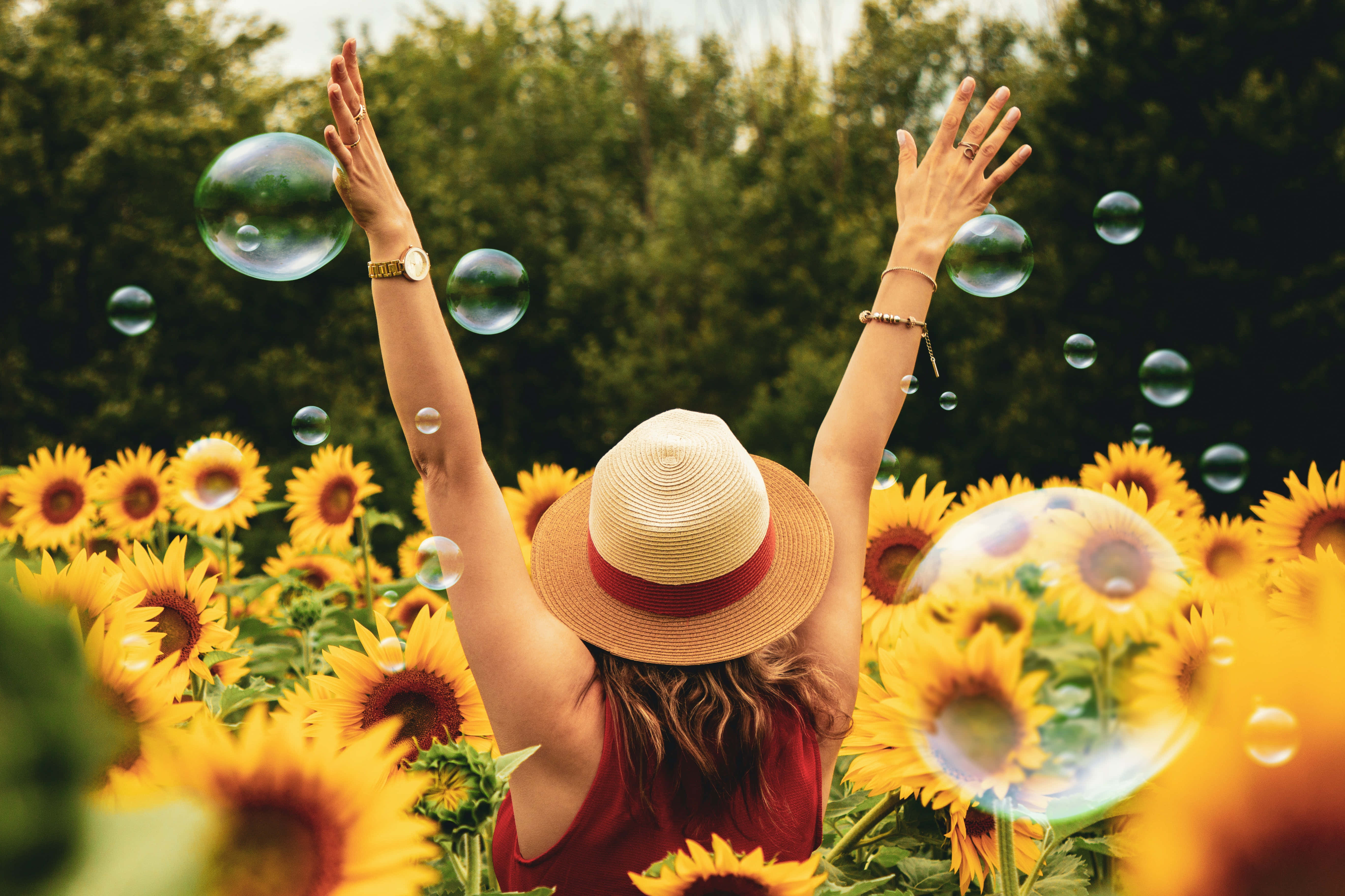 happiness 桌布 壁紙 — 一位戴草帽的女人在向日葵田中舉起雙臂站立，泡泡在她周圍漂浮。