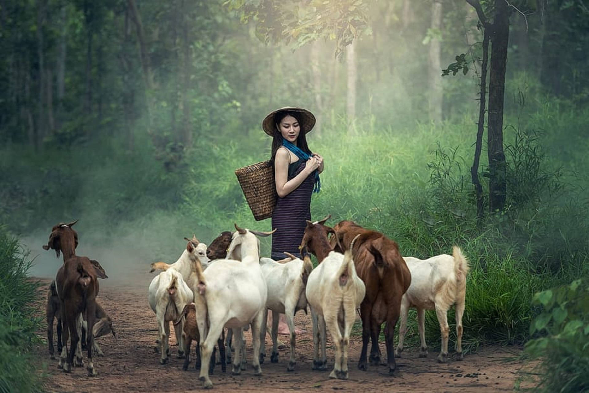 山羊 桌布 壁紙 — 一位戴草帽的女人在霧氣瀰漫的森林小徑上，平靜地站在一群山羊中，提著一個籃子。