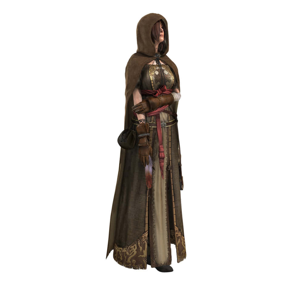 Dark Souls Emerald Herald 桌布 壁紙 — 一位戴著兜帽的女戰士，身穿精緻的棕色和金色盔甲，手持紅色腰帶和羽毛匕首，蓄勢待發。