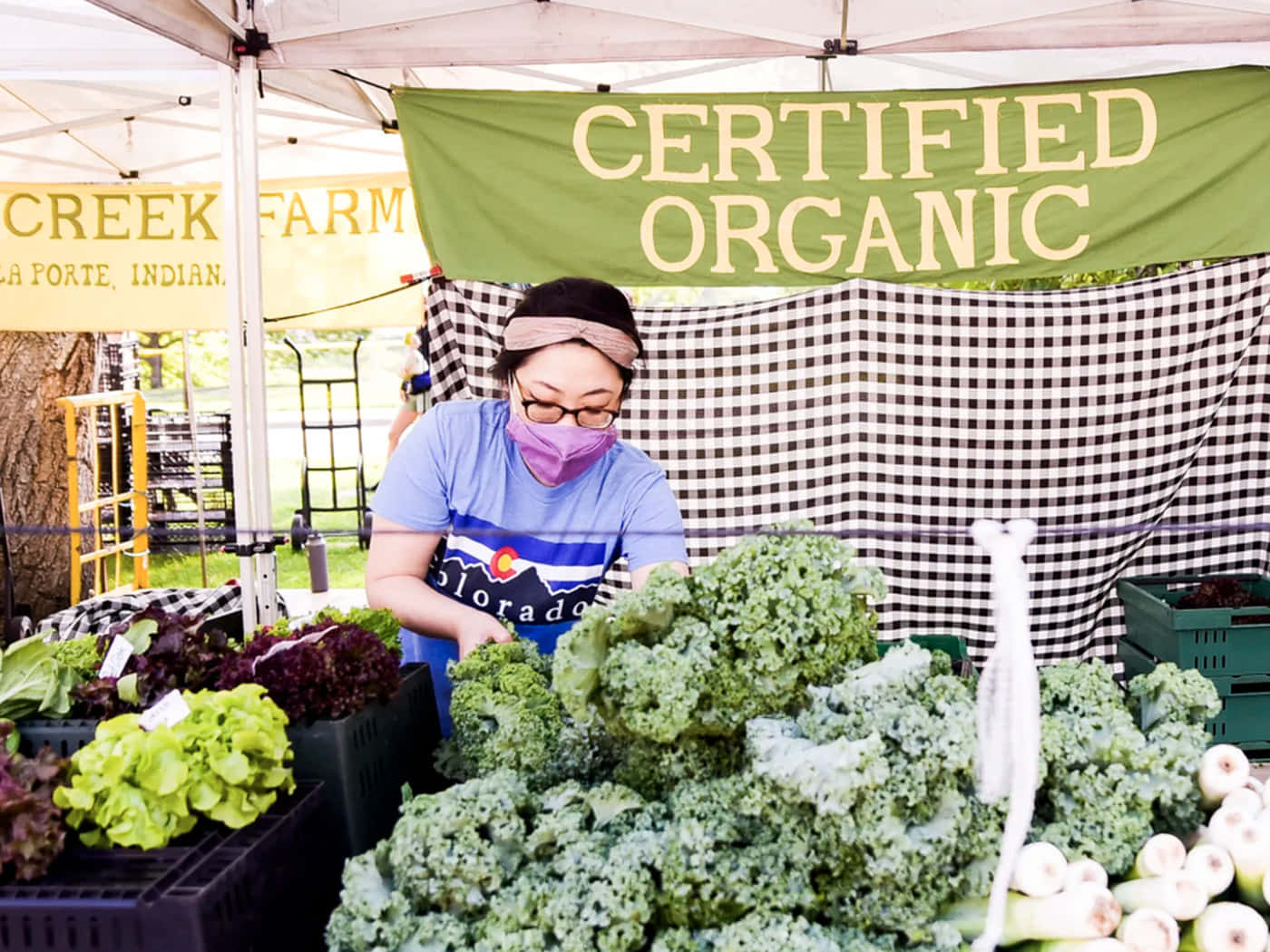 Farmers Market 桌布 壁紙 — 一位戴著口罩和眼鏡的女性在戶外農夫市集攤位上的「有機認證」橫幅下擺放新鮮的羽衣甘藍和生菜。