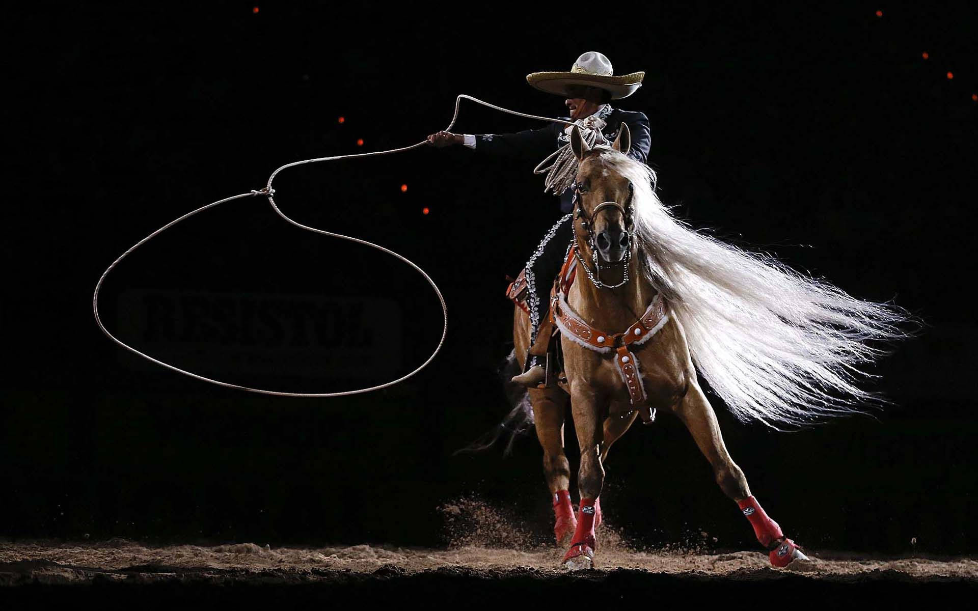 Cowboy 桌布 壁紙 — 一位戴著寬邊帽的牛仔騎著一匹奔騰的馬，馬匹飄逸著白色鬃毛，在黑暗背景下揮舞著套索。