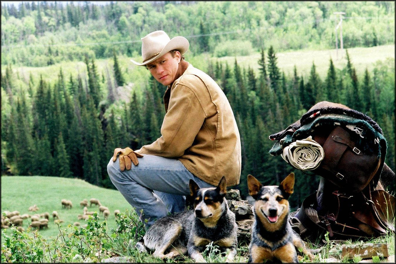 brokeback mountain 桌布 壁紙 — 一位戴著棕褐色帽子和外套的牛仔蹲在草地上，身旁有兩隻快樂的澳洲牧羊犬，俯瞰著羊群和茂密的常綠森林。