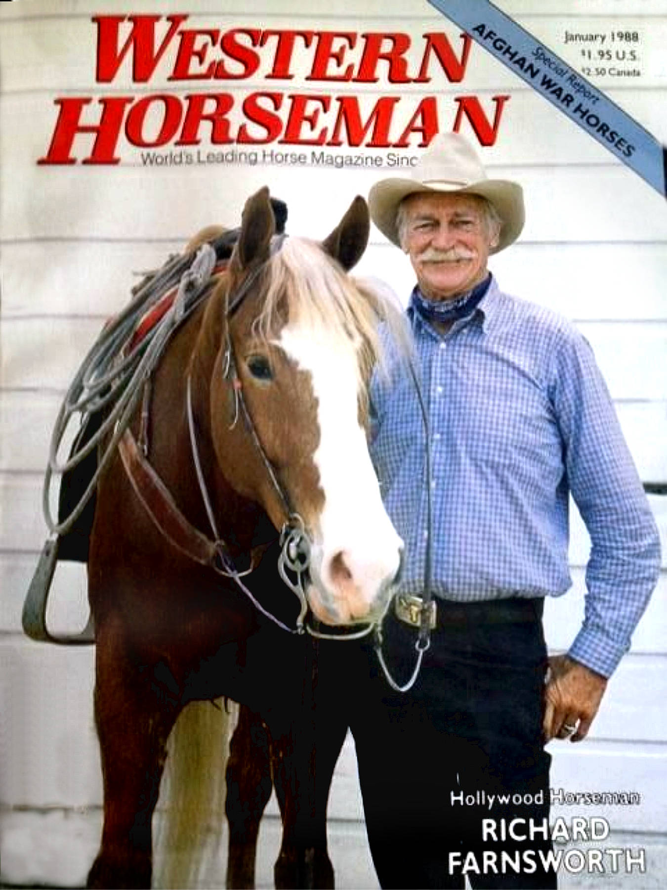 Cowboy 桌布 壁紙 — 一位戴著牛仔帽的微笑牛仔站在一匹備好鞍的棕白馬旁邊，背景是白色木牆。