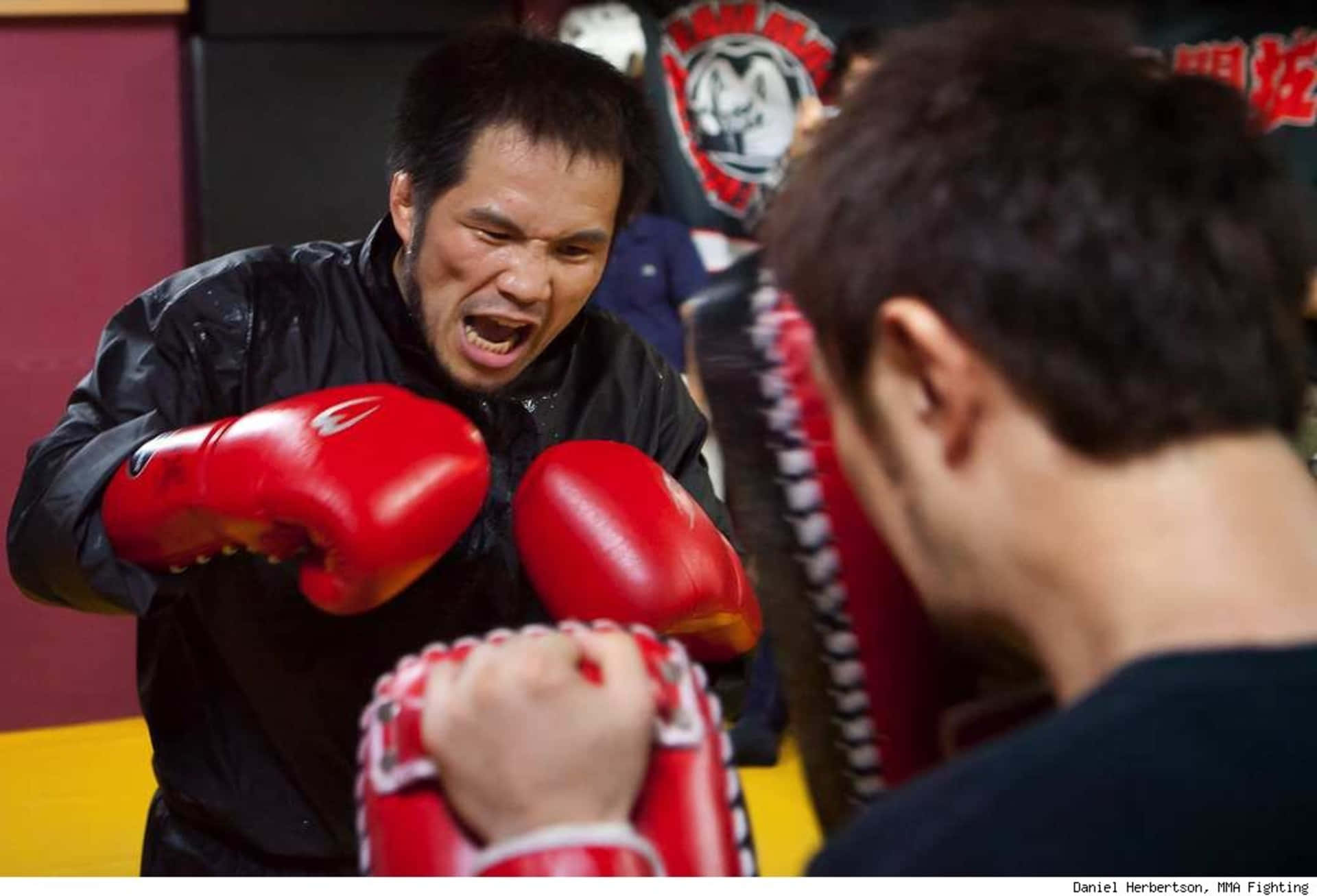 MMA 桌布 壁紙 — 一位戴著紅色手套的拳擊手在健身房與拿著護墊的夥伴訓練時，激烈地大喊。