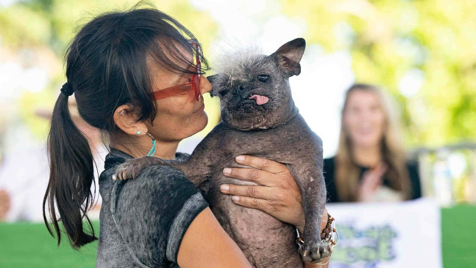 狗 桌布 壁紙 — 一位戴著紅色眼鏡的女性深情地親吻一隻無毛狗，牠頭頂有一撮毛，舌頭伸出來。