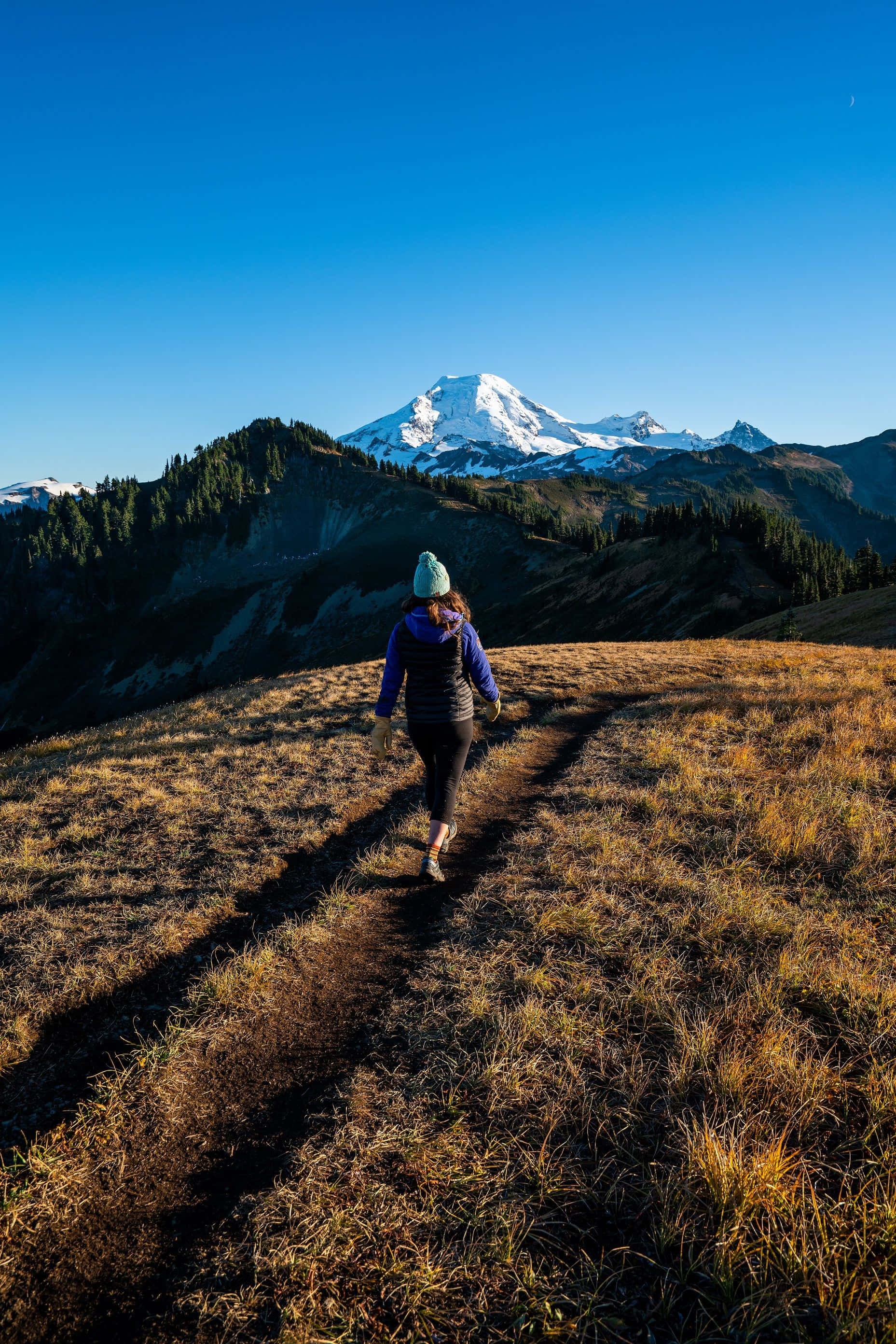 Fall Hikes 桌布 壁紙 — 一位戴著綠色毛帽的登山者，在晴朗藍天下獨自走在陽光灑落的草地上，朝雄偉的雪山前進。