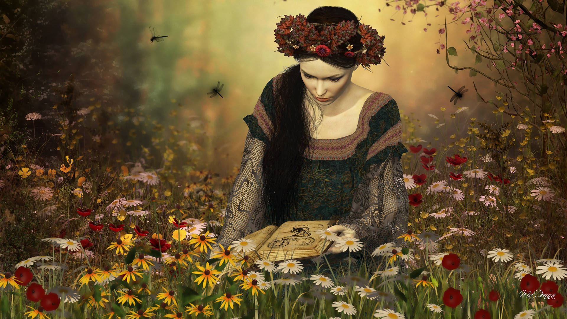 看書 桌布 壁紙 — 一位戴著花冠的女子在陽光明媚、長滿雛菊和罌粟花的草地上閱讀一本古書。