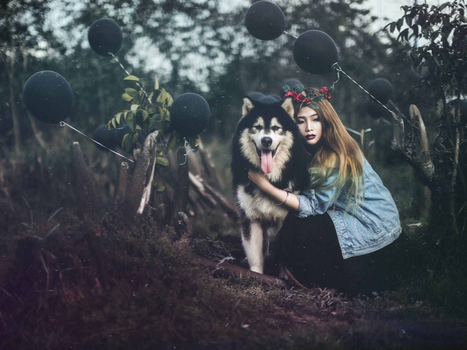 Dog And Girl 桌布 壁紙 — 一位戴著花冠的年輕女子跪在一隻氣喘吁吁的哈士奇旁邊，身處迷霧森林中，周圍漂浮著黑色氣球。