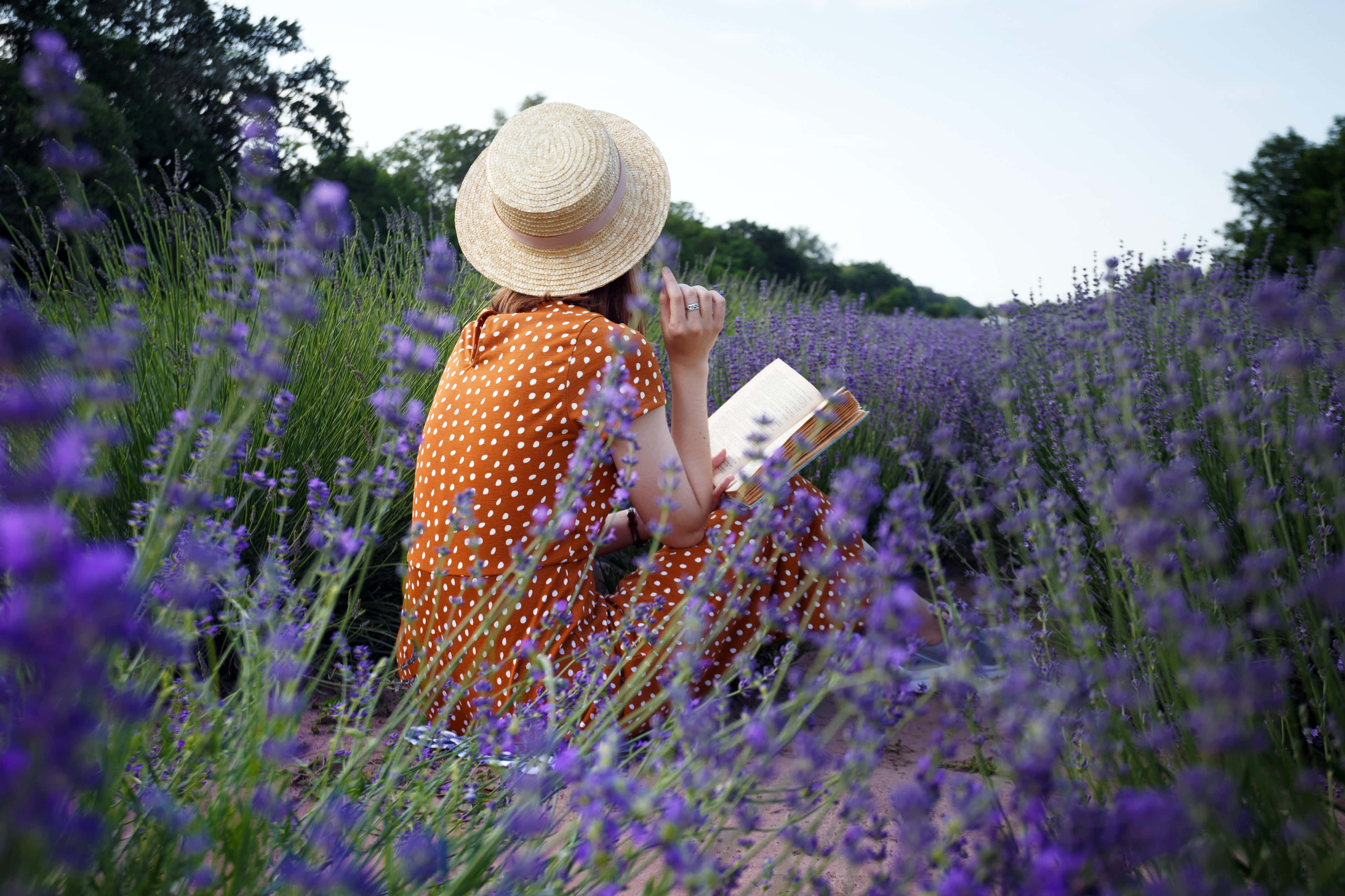 Lavender Field 桌布 壁紙 — 一位戴著草帽、身穿橙色圓點連衣裙的女子，在柔和的天空下，沉浸在書中，置身於充滿活力的薰衣草田中。