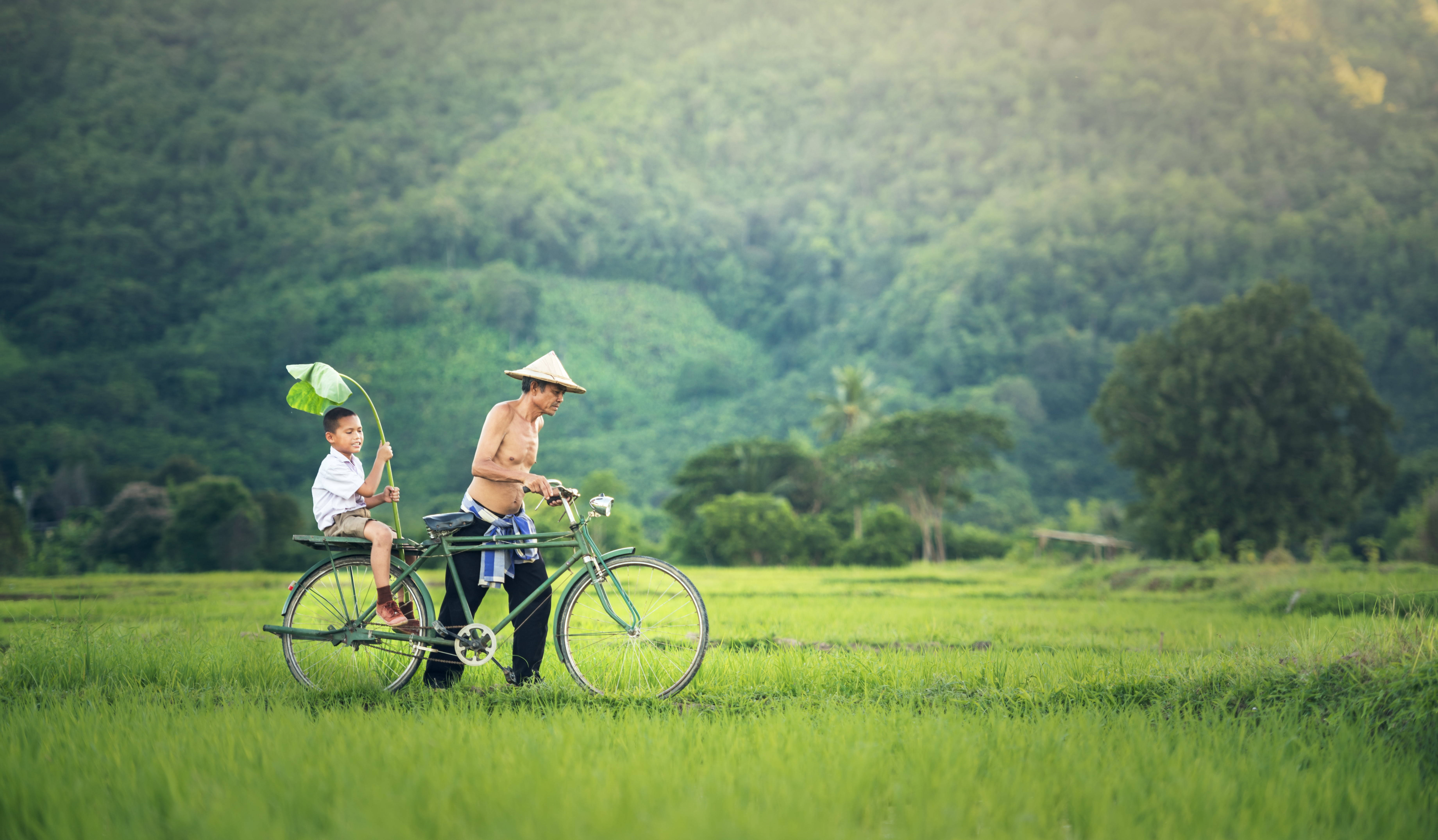 Grass 桌布 壁紙 — 一位戴著錐形帽的長者踩著腳踏車穿過翠綠的稻田，後座載著一個拿著樹葉傘的小孩。