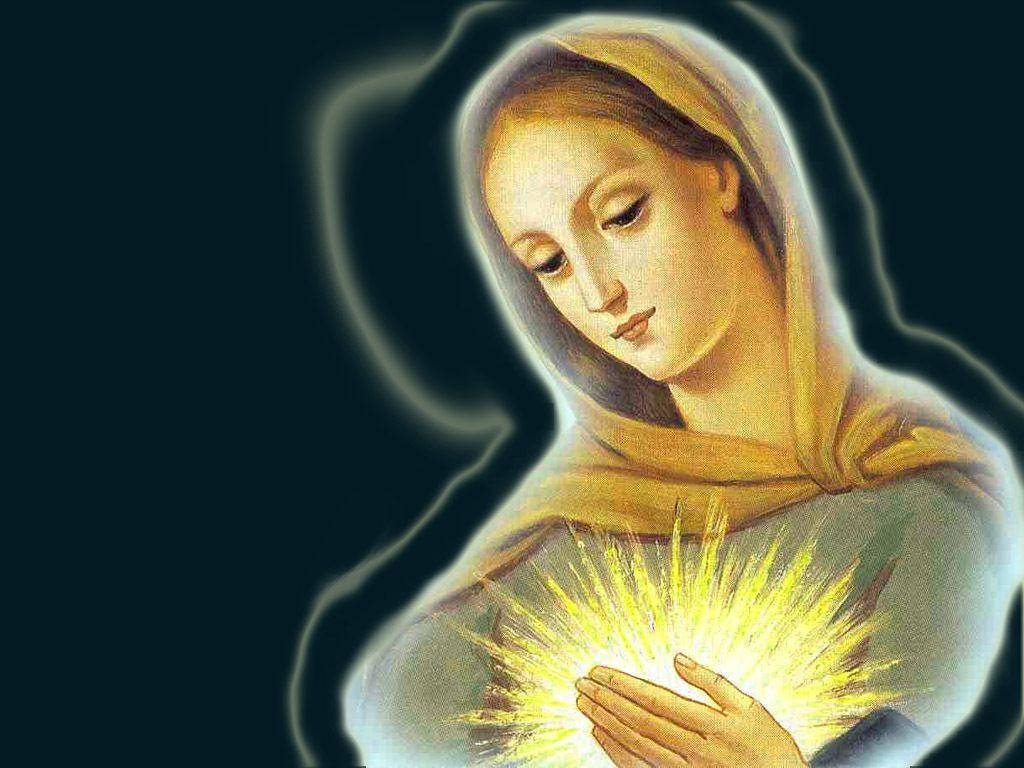 Virgin Mary 桌布 壁紙 — 一位戴著黃色面紗的寧靜女子，手持一顆在黑暗背景下發光的金色心臟。