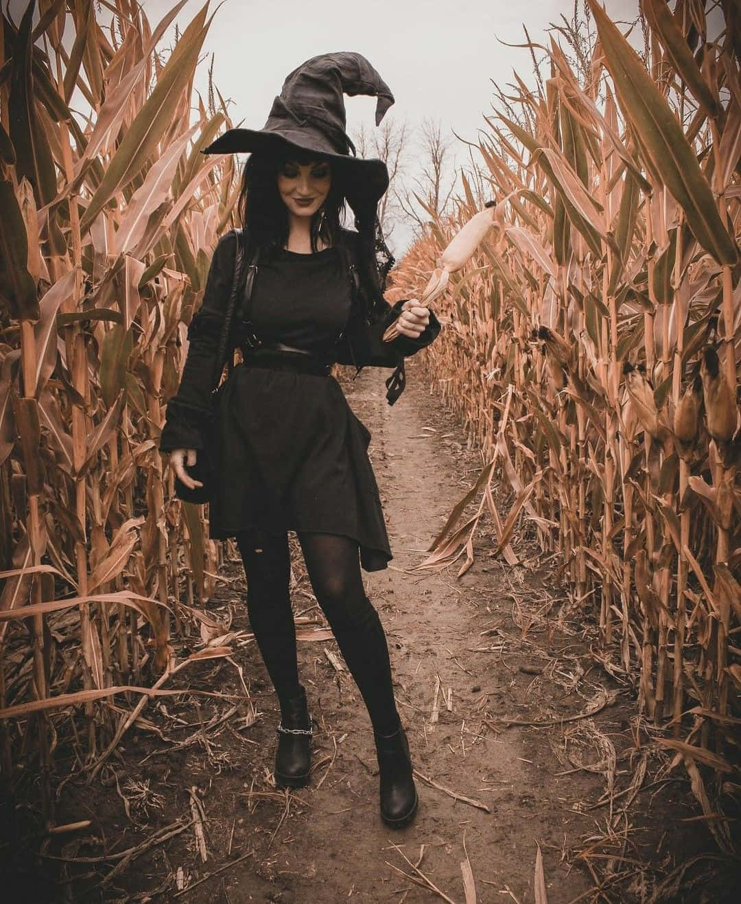 Witch Costumes 桌布 壁紙 — 一位戴著黑色帽子和穿著黑色連衣裙的女巫自信地走在一條狹窄的小路上，穿過高高的乾玉米田。