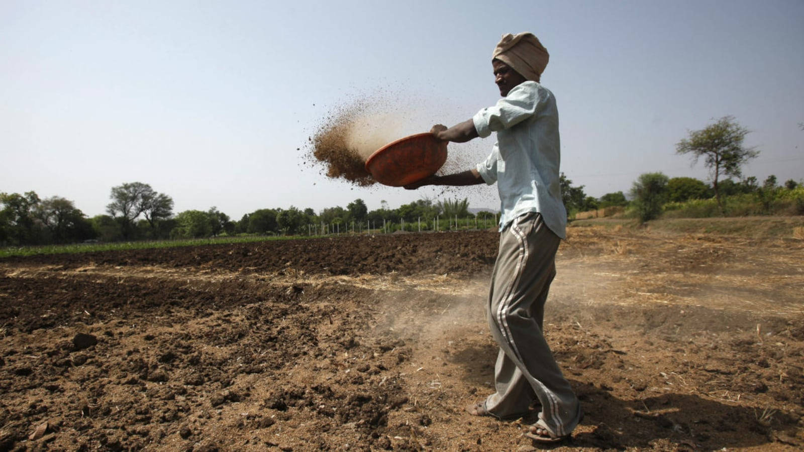 Farmer 桌布 壁紙 — 一位戴頭巾的農夫在陽光明媚的田野中，從紅色碗中拋灑泥土，遠處有樹木。