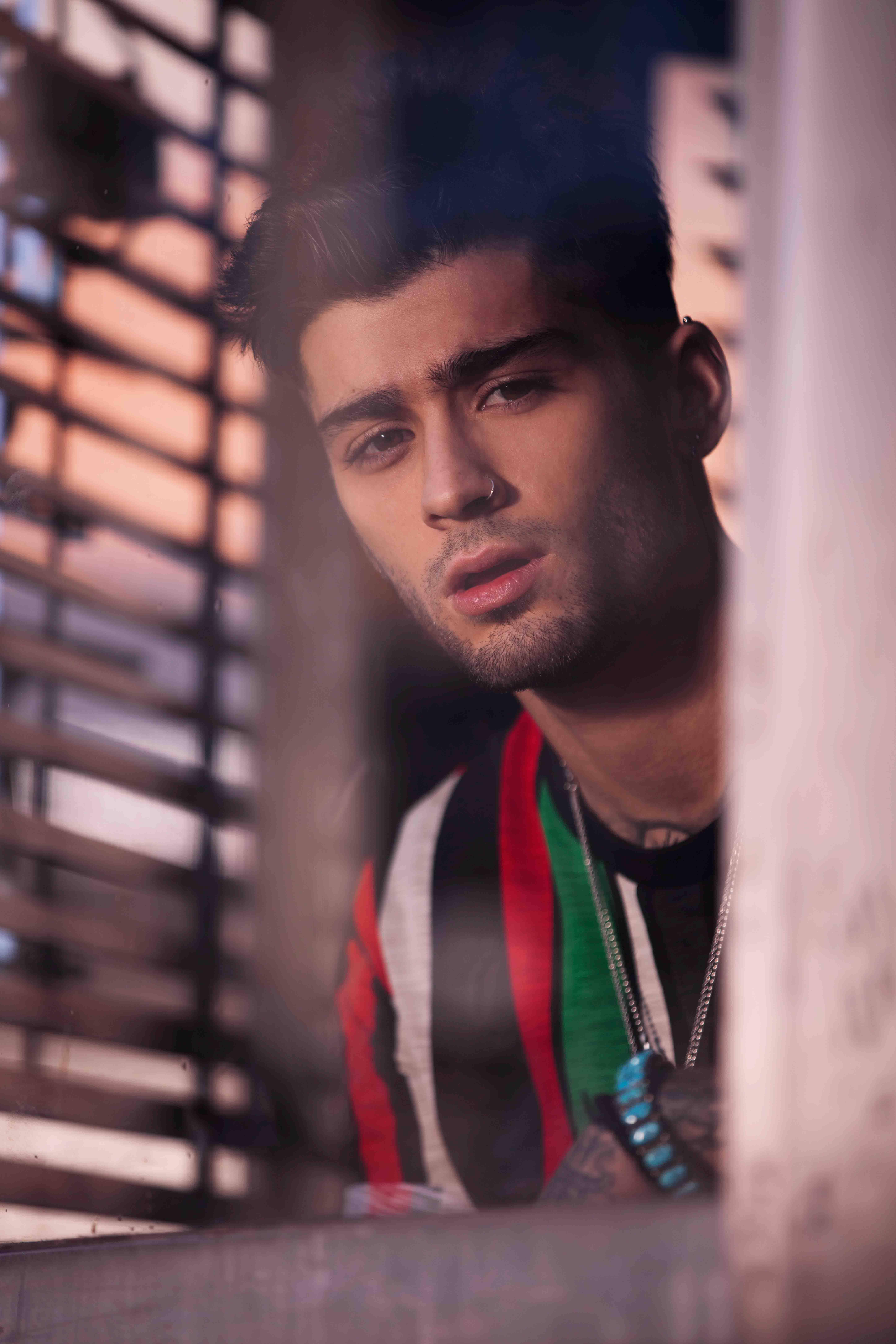 zayn 桌布 壁紙 — 一位戴鼻環的年輕男子在溫暖的金色光線中，透過木百葉窗凝視著。