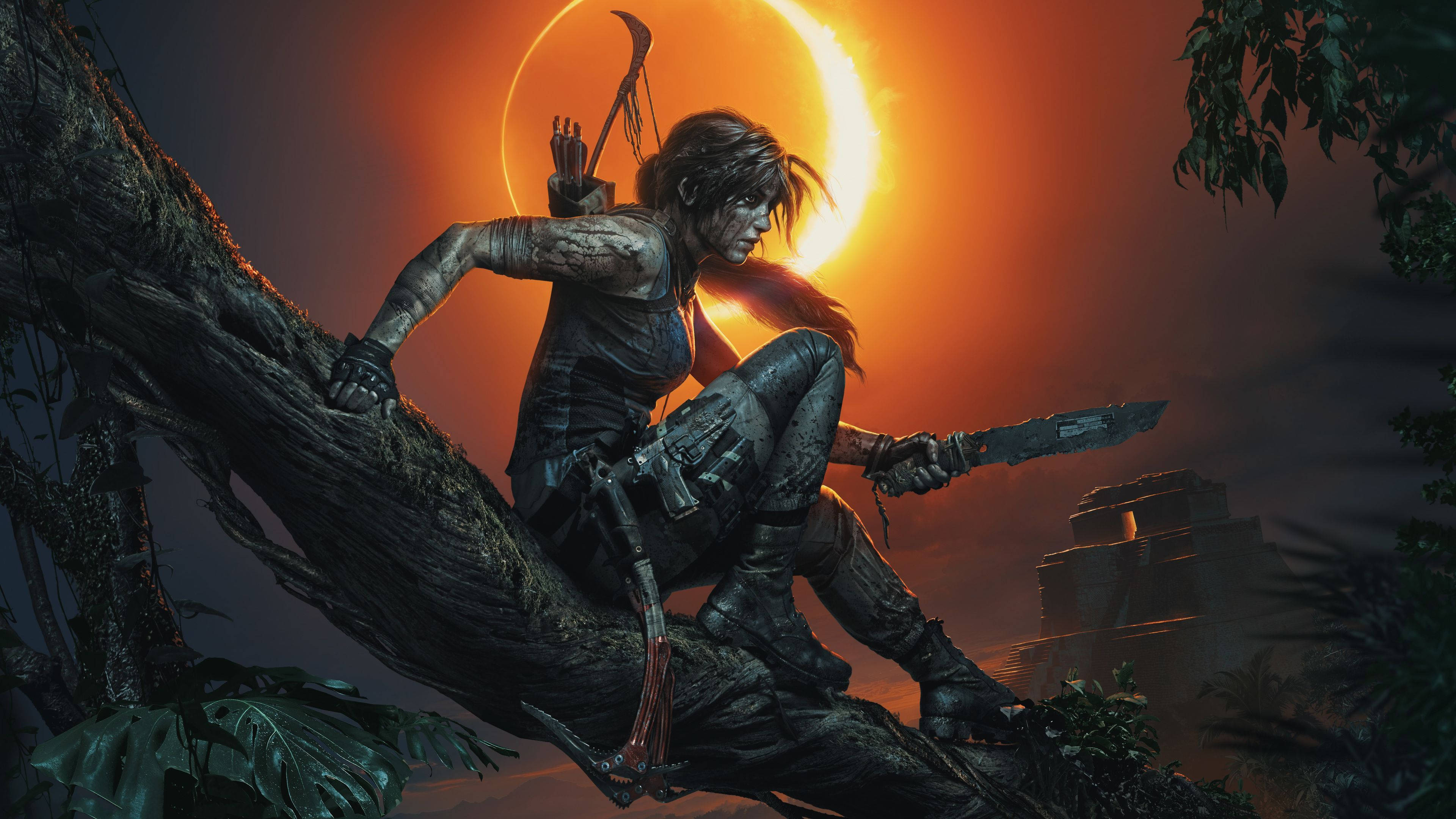 Tomb Raider Game 桌布 壁紙 — 一位手持弓箭和刀的女戰士蹲在樹枝上，背景是熾熱的日落。
