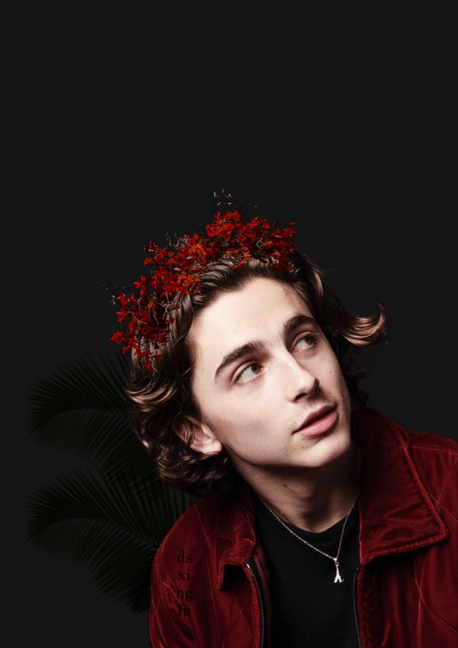 Timothée Chalamet 桌布 壁紙 — 一位捲髮年輕男子戴著紅色花冠，身穿紅色天鵝絨外套，背景為深色並有棕櫚葉。