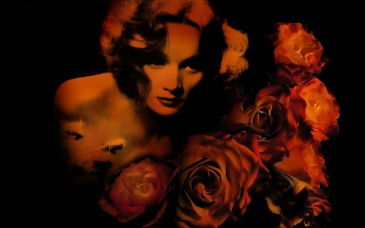 Marlene Dietrich 桌布 壁紙 — 一位捲髮紅唇的女性向前凝視，發光的橙色玫瑰在她周圍綻放，背景為黑色。