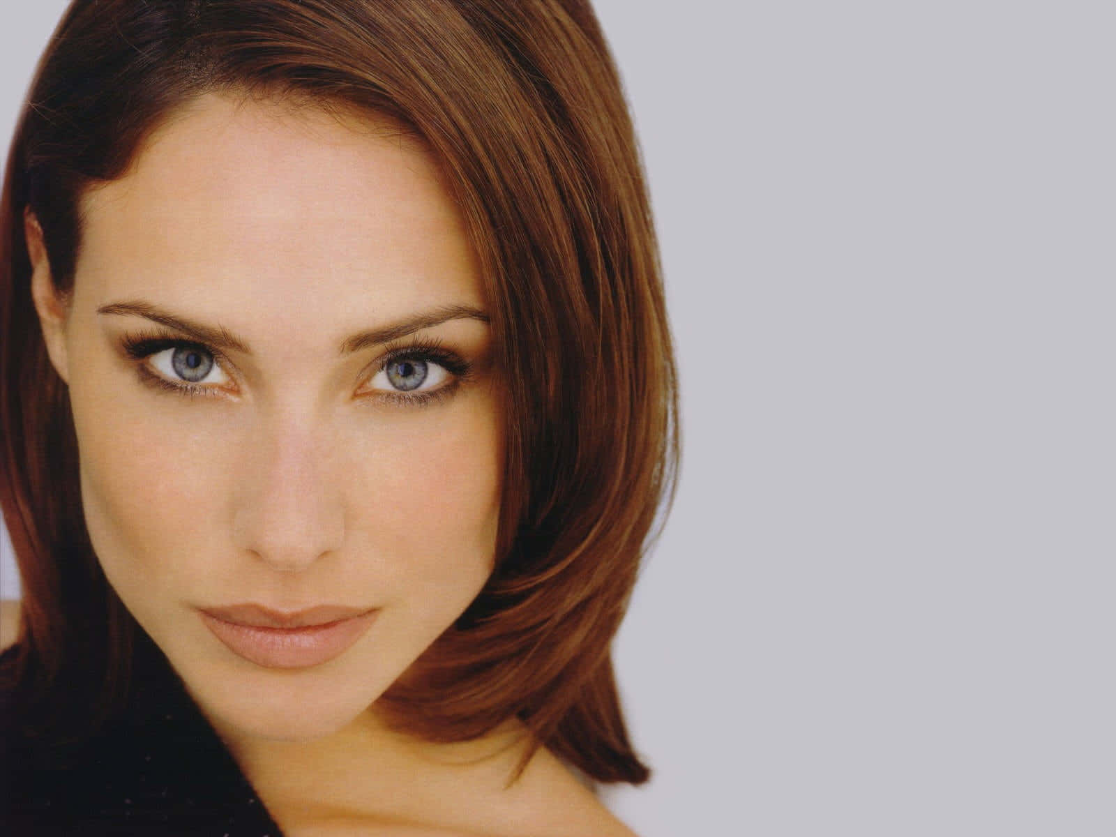 Claire Forlani 桌布 壁紙 — 一位擁有引人注目的藍眼睛和赤褐色頭髮的女性的特寫肖像，背景是純淺灰色。