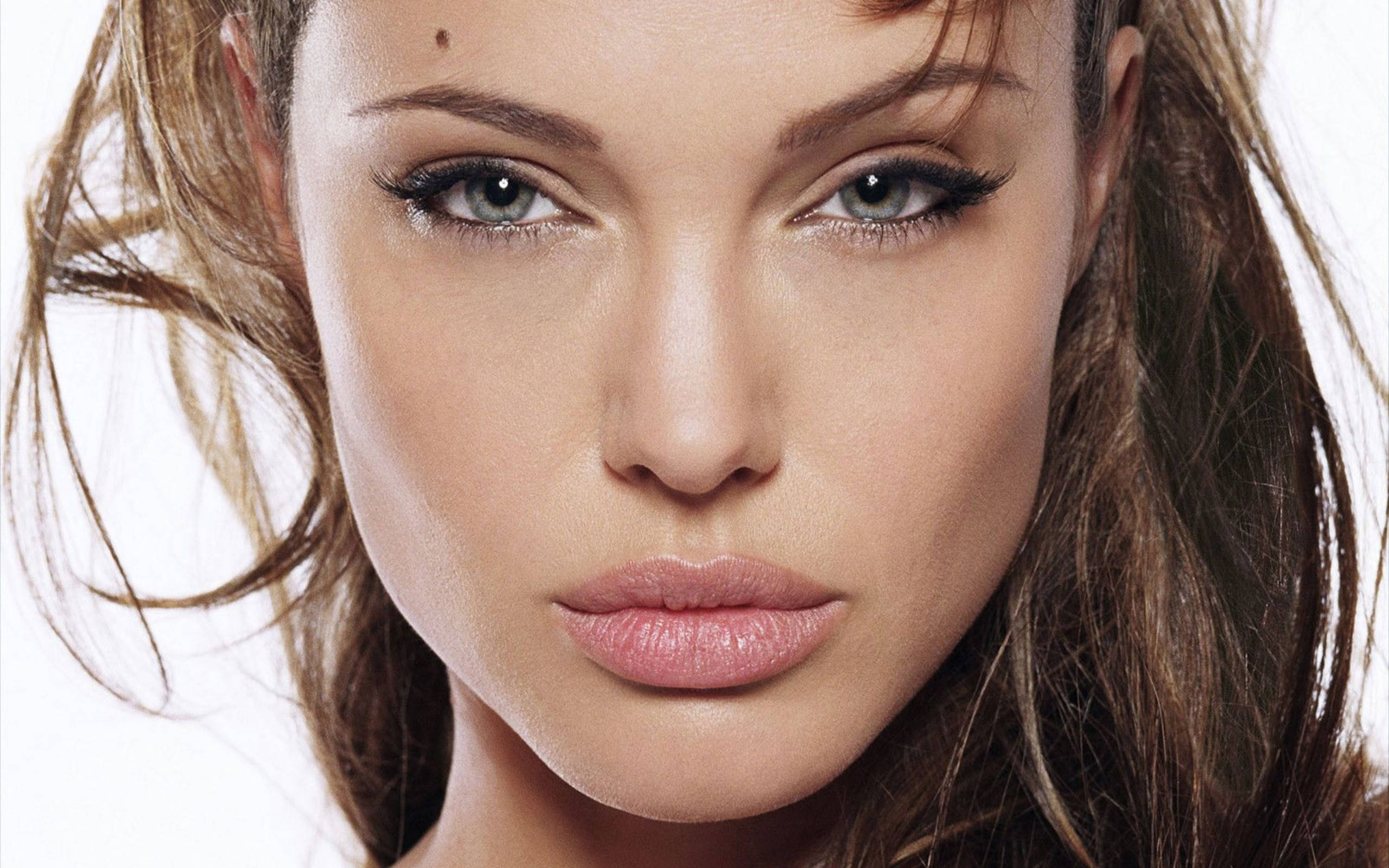 Angelina 桌布 壁紙 — 一位擁有引人注目藍色眼睛和柔軟棕色頭髮的女性的特寫肖像，背景為明亮的白色。