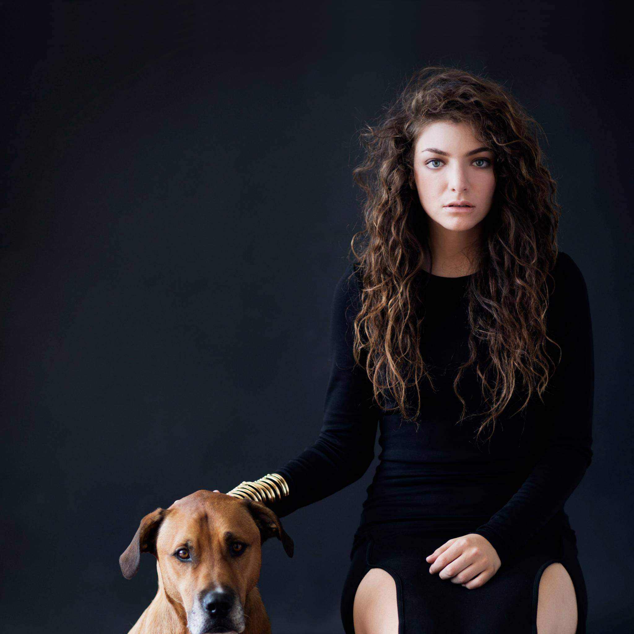 Lorde 桌布 壁紙 — 一位擁有棕色捲髮的女性和一隻狗坐在深色背景前，她的手放在狗的頭上。