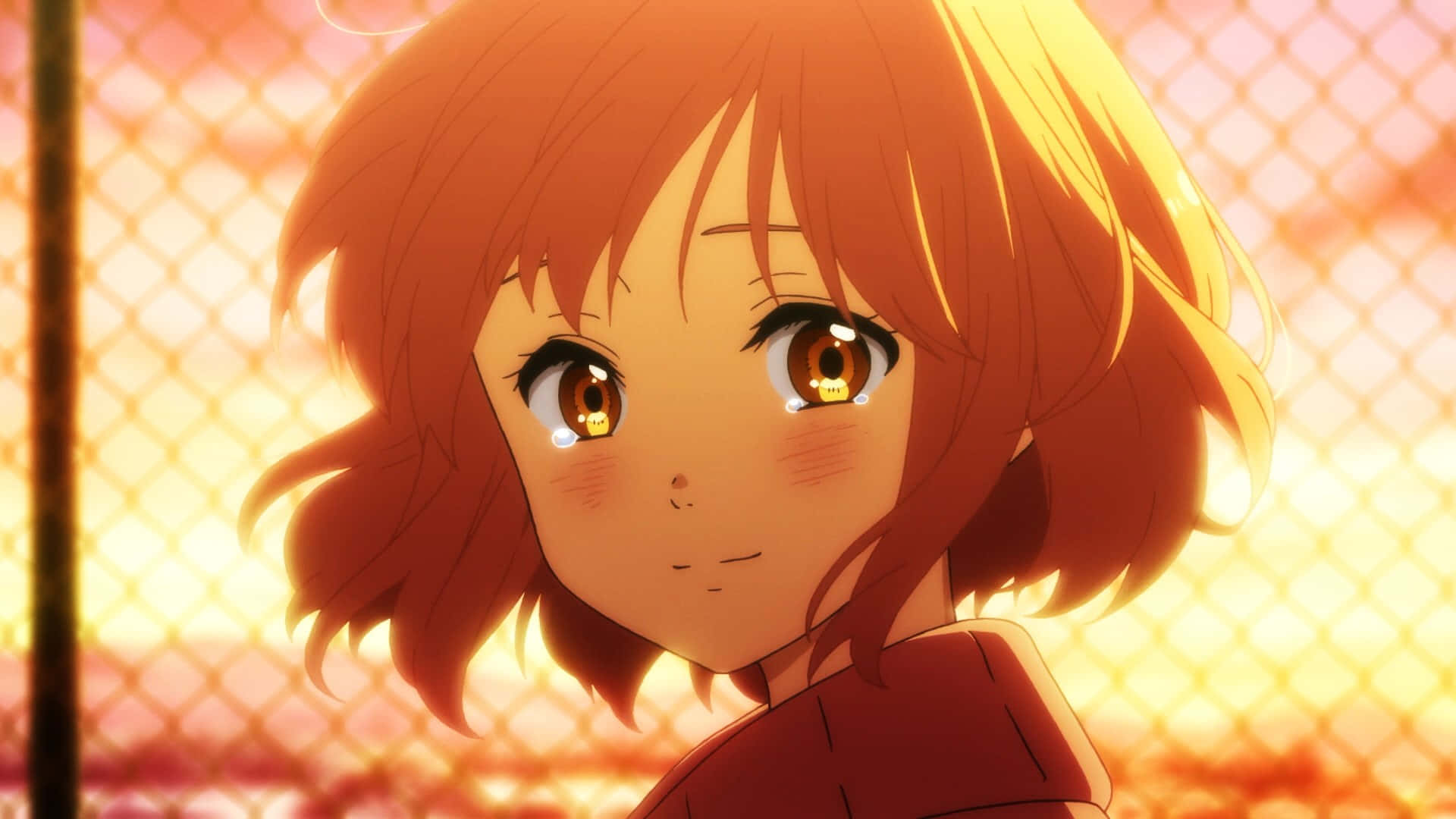 Mirai 桌布 壁紙 — 一位擁有橙色頭髮、淚眼汪汪的動漫少女，在溫暖夕陽照耀下的鐵絲網圍欄後溫柔凝視。