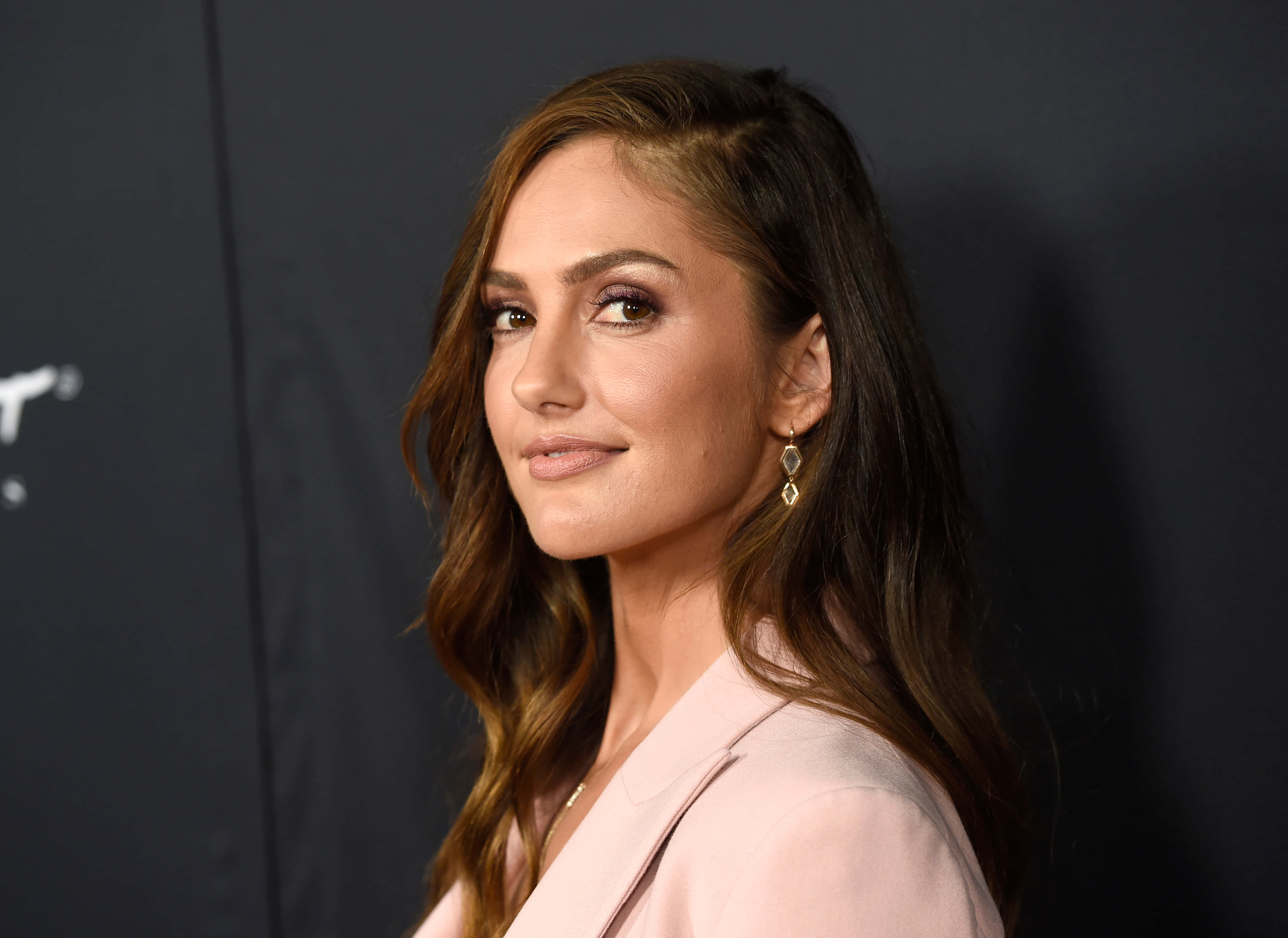 minka kelly 桌布 壁紙 — 一位擁有波浪棕色頭髮和粉紅色西裝外套的女性在深色背景下溫柔微笑。