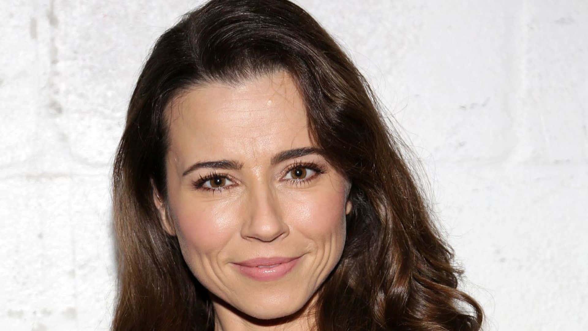 linda cardellini 桌布 壁紙 — 一位擁有波浪棕色頭髮的女性，在白色磚牆背景下溫柔微笑的特寫肖像。