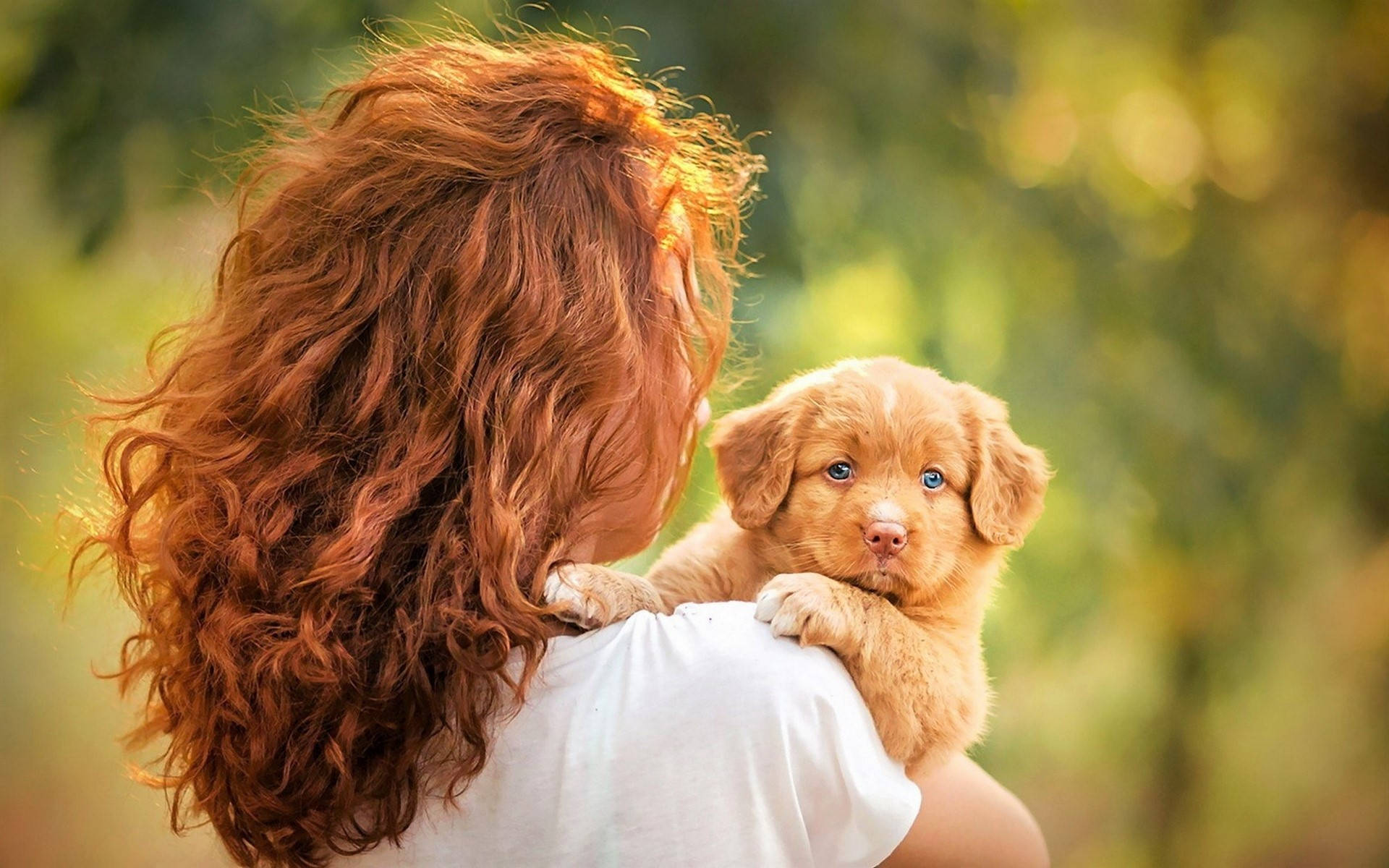 Cute Puppy 桌布 壁紙 — 一位擁有火紅捲髮的女性，在陽光明媚的綠色背景下，抱著一隻有著驚人藍眼睛的金色小狗。