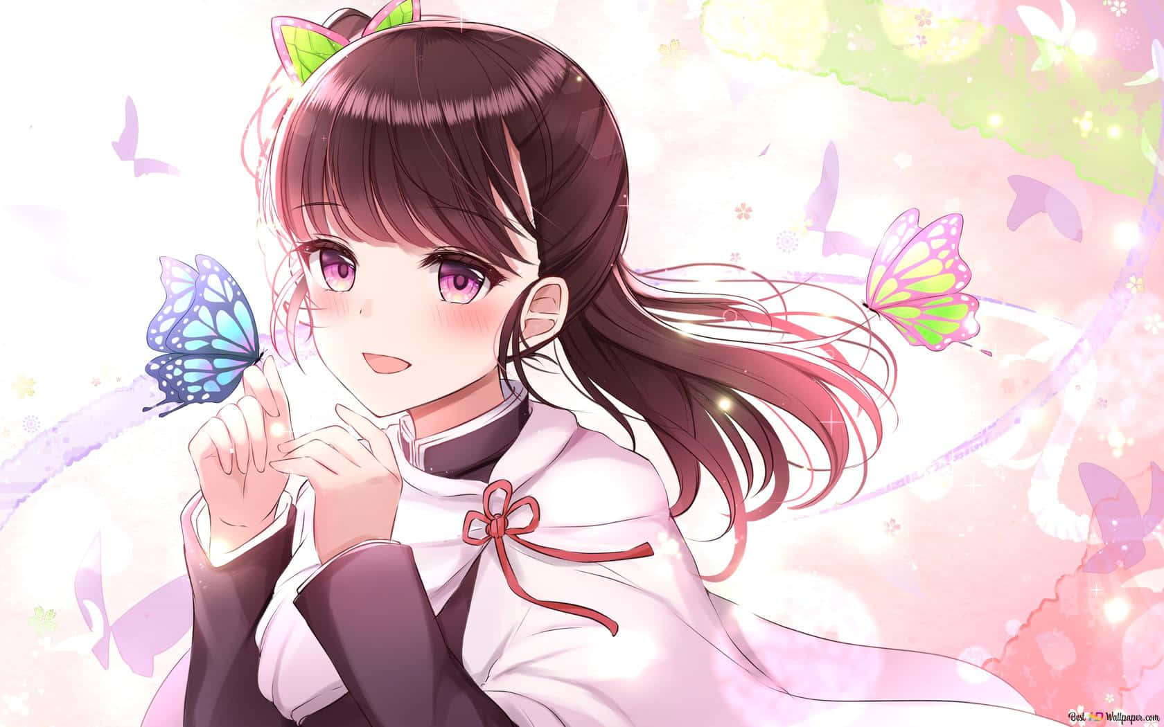 Demon Slayer Kanao 桌布 壁紙 — 一位擁有紫色眼睛和貓耳的開朗動漫女孩，在柔和粉彩光暈中輕輕捧著一隻藍色蝴蝶，周圍有飄浮的蝴蝶。